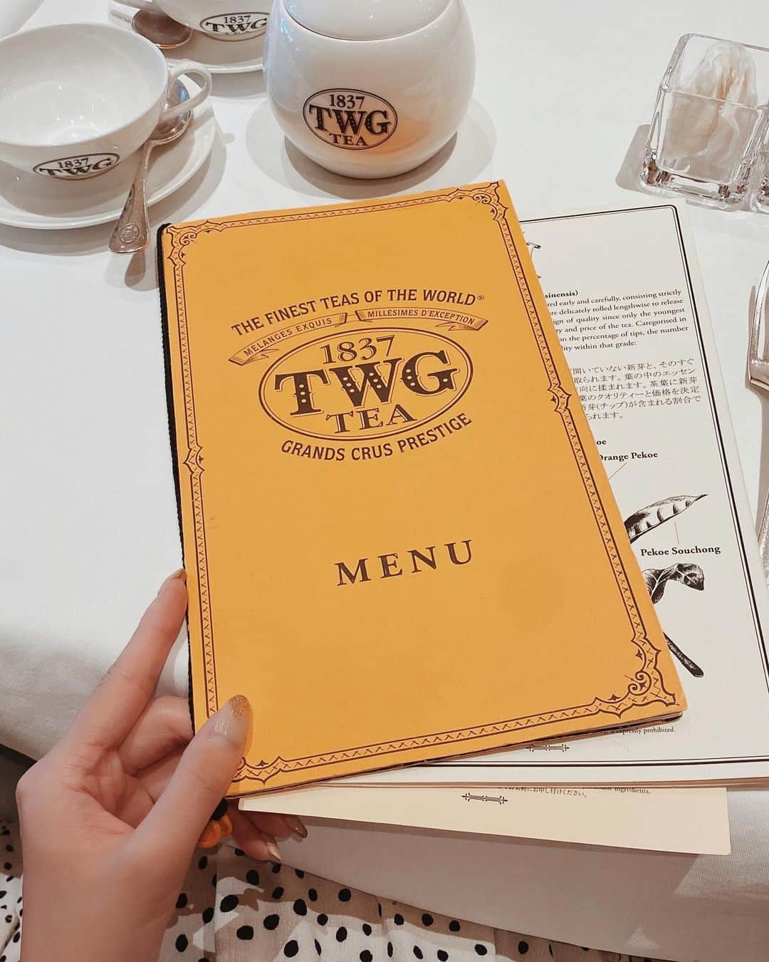 moeさんのインスタグラム写真 - (moeInstagram)「. この前 #TWGTea 行ったんだけど シンガポール行きたくなった🥲❤︎ イチゴに金箔のってたん可愛すぎか🍓 コロナ落ち着いたらシンガポール行こ(　˙-˙　)‼︎ . ❤︎営業時間❤︎ (全曜日) 11:00〜19:00 L.O.17:30 ❤︎定休日❤︎ なし . #カフェ巡り #自由が丘カフェ #カフェ #カフェスタグラム #darich #gucci」2月28日 19時32分 - immoeg