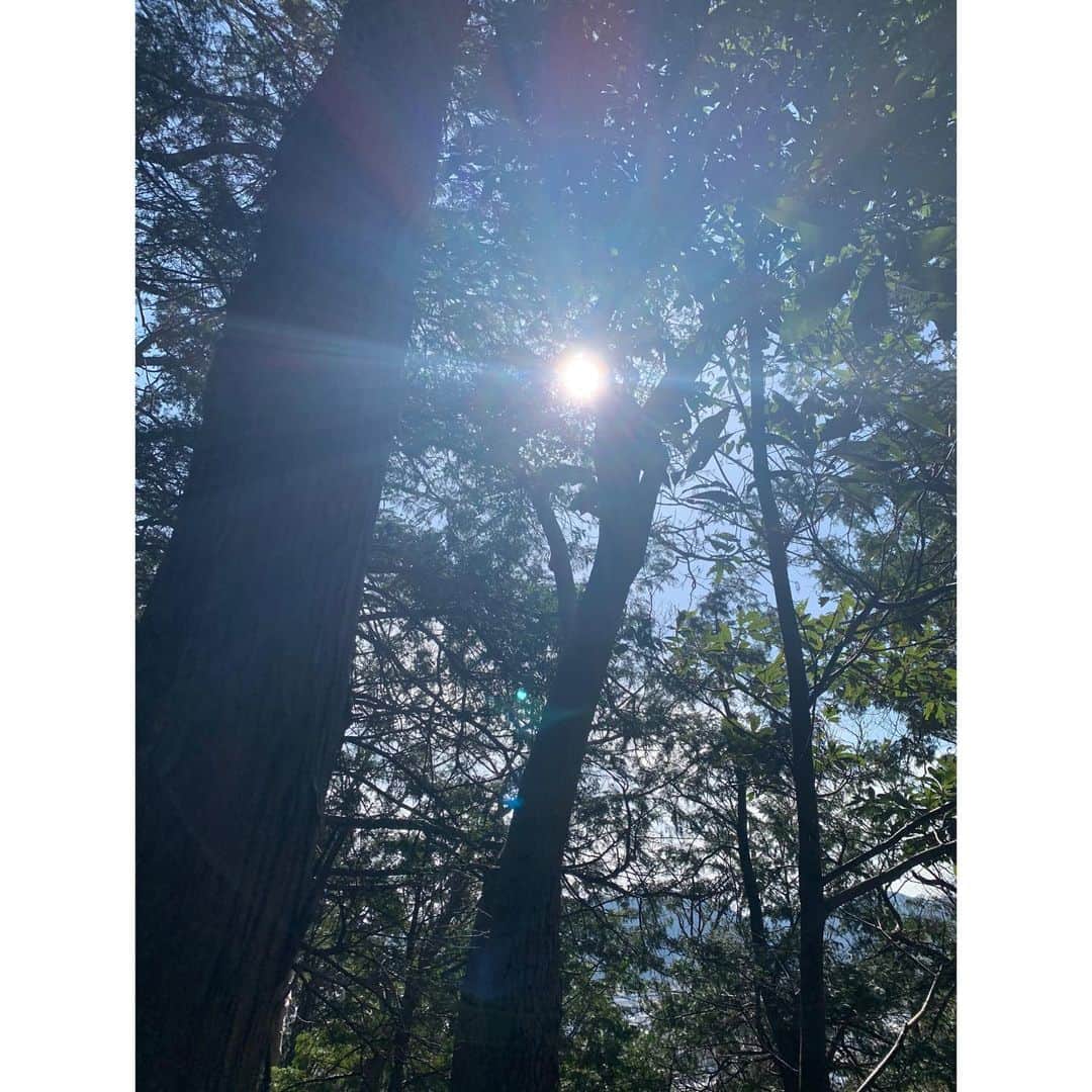 のインスタグラム：「2021年2月28日🌲  緑の中で太陽を浴びました🌞 昨日は満月で月の光も浴びて、なんだか体がぐったりとしておりますが、、  たまに自然の中に入ることは、自分にとってとても重要だと思っています。  さて、元旦から今日まで毎日更新してきましたが、ちょっとペースを落とします。  また更新したくなったらアップします✨  毎日見てくださっていた皆様、ありがとうございます❤️  明日から3月だ🌸  #2月ありがとう #森 #earth #nofilter  #sunnyday」
