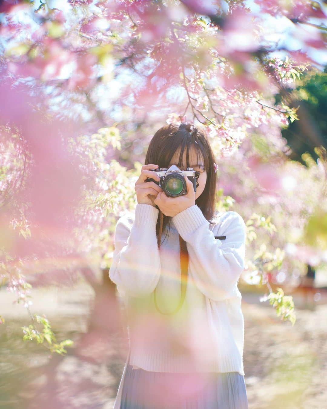 Sherryのインスタグラム：「ㅤㅤㅤㅤㅤㅤㅤㅤㅤㅤㅤㅤㅤ ㅤㅤㅤㅤㅤㅤㅤㅤㅤㅤㅤㅤㅤ 春のうた🌸 ㅤㅤㅤㅤㅤㅤㅤㅤㅤㅤㅤㅤㅤ ㅤㅤㅤㅤㅤㅤㅤㅤㅤㅤㅤㅤㅤ」