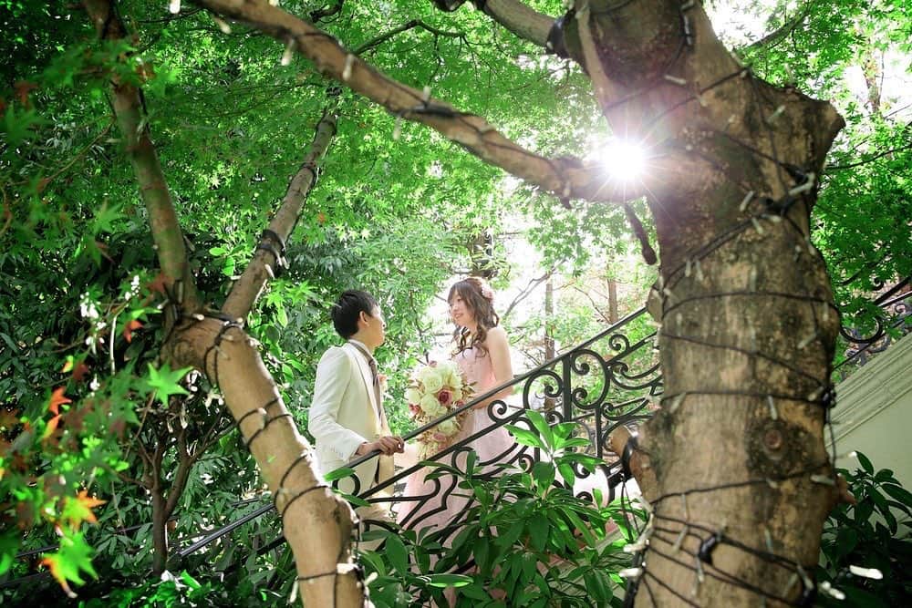 青山迎賓館 AOYAMA GEIHINKANのインスタグラム：「. . . 都会の真ん中にある 2人のためだけの貸切ガーデン  差し込む太陽の光に包まれながら フォトシューティング✨✨  ウェディングドレスだけではなく お色直し後のドレスでも たくさんのお写真を撮影します📸  まるで森の中にいるような そんなガーデンも楽しむことができます😊  #やっぱり結婚式っていいな #たいせつなものを守る #心の温度が5度あがる場所 #青山迎賓館 #青山迎賓館花嫁 #ウェディングプランナー #テイクアンドギヴニーズ #tg #tg花嫁 #プレ花嫁 #東京花嫁 #卒花嫁 #プレ花嫁さんと繋がりたい #tg花嫁さんと繋がりたい #プロポーズ #入籍 #結婚式 #大人婚 #上質ウェディング　 #wedding #ウェディング #東京 #tokyo #南青山  #幸せな時間 #ときめき #溢れる涙 #幸せな日  #ao_garden_ao」