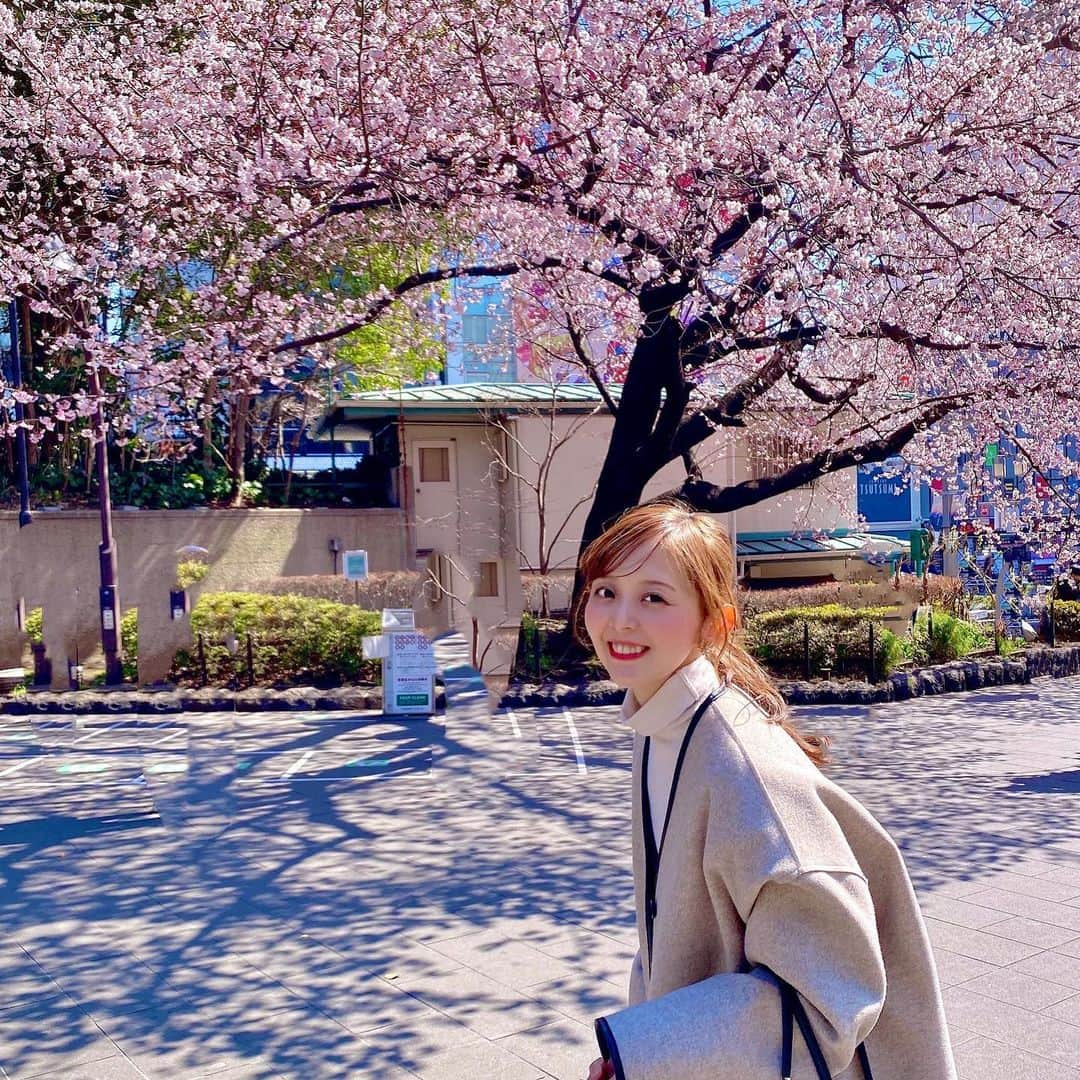 かとう唯さんのインスタグラム写真 - (かとう唯Instagram)「チェリーブロッ寒🌸🌸🌸  #桜　#上野公園　#上野恩師公園 #撮影会　#ポニーテール　#ポニーテール女子 #野外撮影会　#桜撮影会🌸  #雨女卒業　#いつだって雨だった　#今日は晴れてる #明日から心配　#ミュージカル  #ミュージカル女優　#だじゃれ　#ダジャレ　#駄洒落　#ダジャレント　#だじゃれアンバサダー　#かとう唯　#photooftheday #instagood #followme」2月28日 20時46分 - yuimscl0630