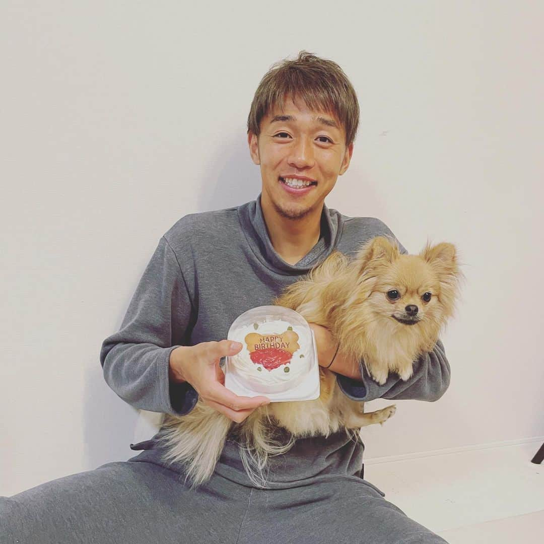 清武弘嗣のインスタグラム：「2021年2月28日 こむぎ1歳の誕生日🥰 初ケーキも食べてくれて満足！ . #誕生日おめでとう #パジャマでごめんなさい #これからもこむぎくんを #よろしくお願いします🥺」