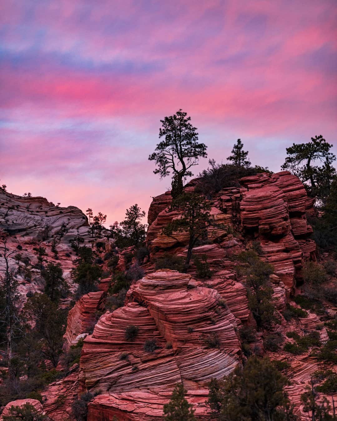 National Geographic Travelさんのインスタグラム写真 - (National Geographic TravelInstagram)「Photo by @babaktafreshi / The colors of dusk and dawn in high-altitude deserts can be very striking. On this chilly January evening, the overcast sky in Zion National Park suddenly opened on the western horizon moments after sunset. The iconic sedimentary rock layers of Zion, which appear like stacked pancakes in this view, are formed by mud, gravel, and sand sediments deposited over time.  See photos of the park at night under an ocean of stars @babaktafreshi. #geology #zionnationalpark #utah #sunset #earth」2月28日 20時39分 - natgeotravel