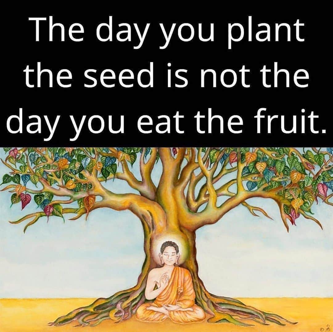 のインスタグラム：「My seeds are starting to flower. I said around 10 years ago that JA (PB) would become the world’s biggest alarm clock. You’ll see what will happen in this new 7 year cycle. It’s coming... #PapaBearChronicles」