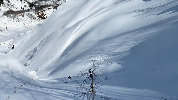 楠怜己のインスタグラム：「Never get bored ⛷」