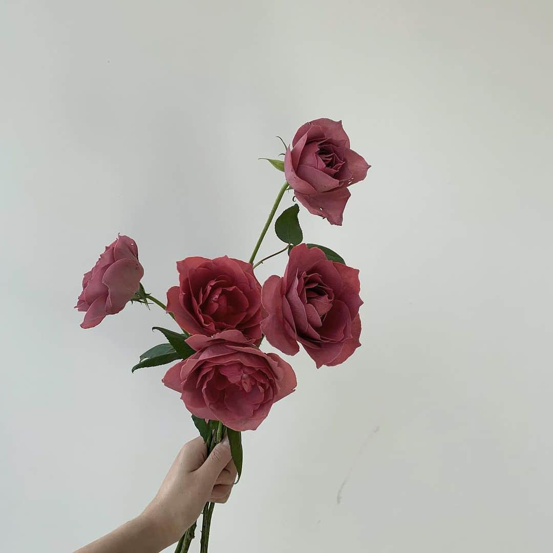 플로리스트 이주연 florist Lee Ju Yeonのインスタグラム