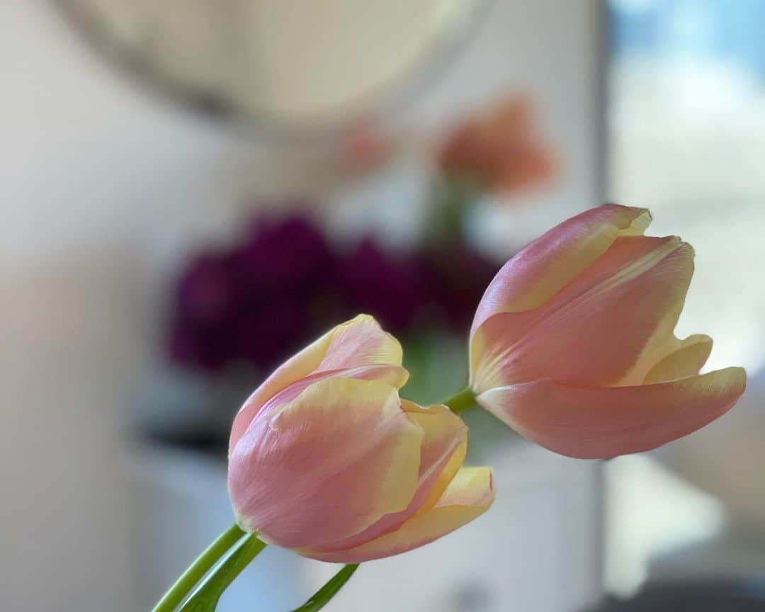 秋定麻紀子さんのインスタグラム写真 - (秋定麻紀子Instagram)「花と飾っている美顔器。 美、繊細。」2月28日 20時53分 - makiakisada