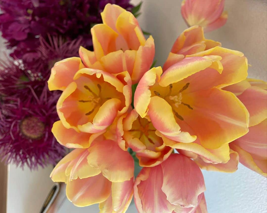 秋定麻紀子さんのインスタグラム写真 - (秋定麻紀子Instagram)「花と飾っている美顔器。 美、繊細。」2月28日 20時53分 - makiakisada