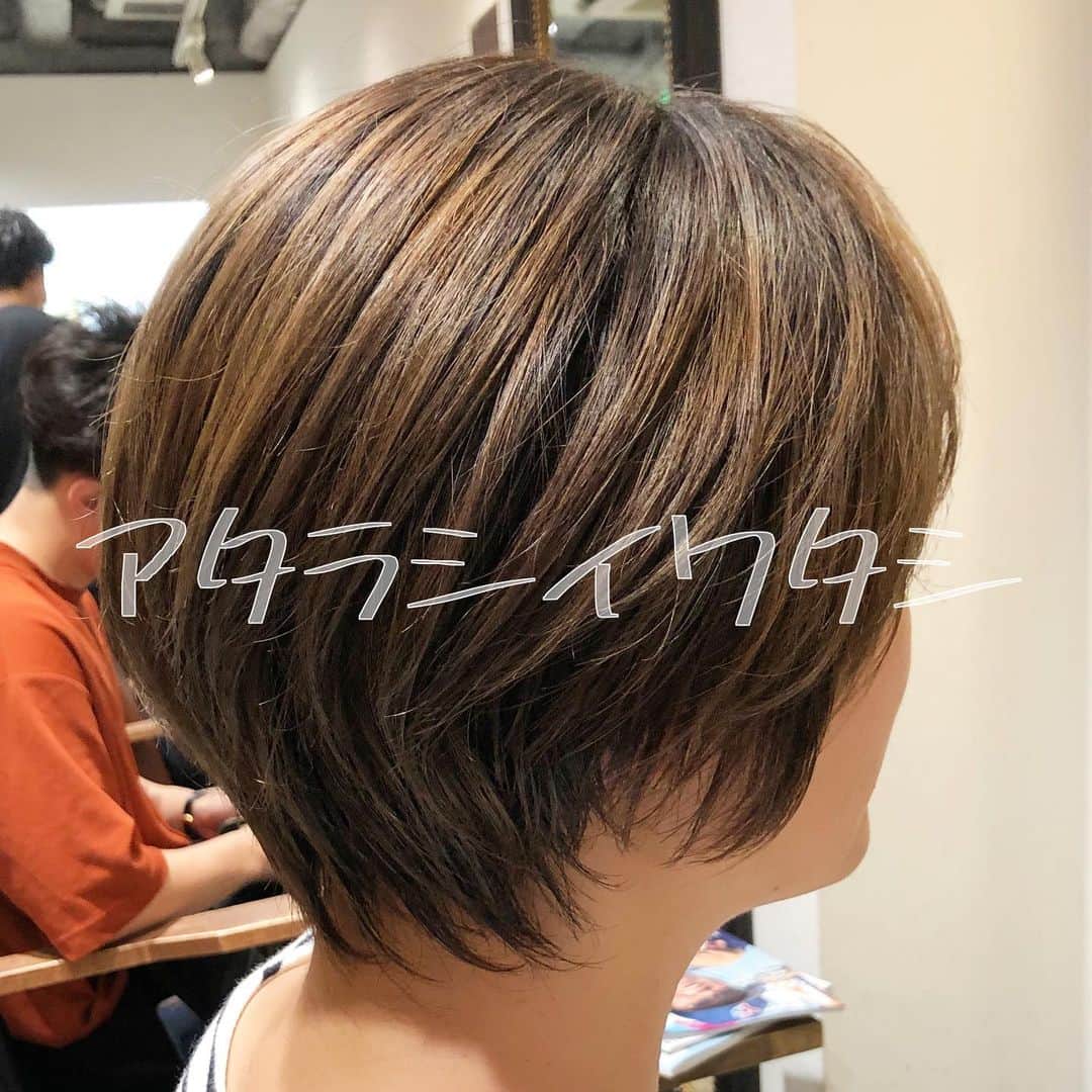 SHOTAのインスタグラム：「カウセリング時に役立ててください✨﻿ ﻿ ﻿ ショートカットの女性に﻿ どのような印象をお持ちですか⁉️🧐﻿ ﻿ ショートカットは輪郭を隠せないからと、﻿ ショートカットに抵抗を感じる方も﻿ 少なくないですよね⁉️🤣﻿ ﻿ 意外にコンプレックスも﻿ 上手にカバーしながら、﻿ 大人女性に似合う可愛い﻿ ショートカットがあるんです‼️😤﻿ ﻿ 貴方の魅力を﻿ 引き出します🙌﻿ ﻿ ショートカットは﻿ 注目のトレンドで﻿ おしゃれ女子の﻿ 注目の的です‼️﻿ ﻿ そんなショートカットですが、﻿ マッシュやひし形、﻿ 前下がりのショートカットなど種類は様々🤣﻿ ﻿ 一体どんなショートカットに﻿ すればいいか迷いますよね⁉️﻿ ﻿ ✔️乾かすだけで形が綺麗に﻿ ✔️シルエットが良くなる﻿ ✔️毛先の質感が可愛く柔らかに﻿ ✔️小顔効果で骨格修正﻿ ✔️絶壁を解消し後頭部に丸みを﻿ ✔️首が細く見えてスタイルがよく見える﻿ ﻿ このような事をご希望の方は、﻿ 是非お任せ下さい🙇﻿ ﻿ 必ず似合わせます😤😤😤﻿ ﻿ The shortcut is the best in Tokyo. ﻿ Please leave it to me.﻿ ﻿ 捷径是东京最好的。 ﻿ 请把它交给我。﻿ ﻿ 도쿄에서 1 번 단축키를 잘합니다. ﻿ 나에게 꼭 맡겨주세요.」