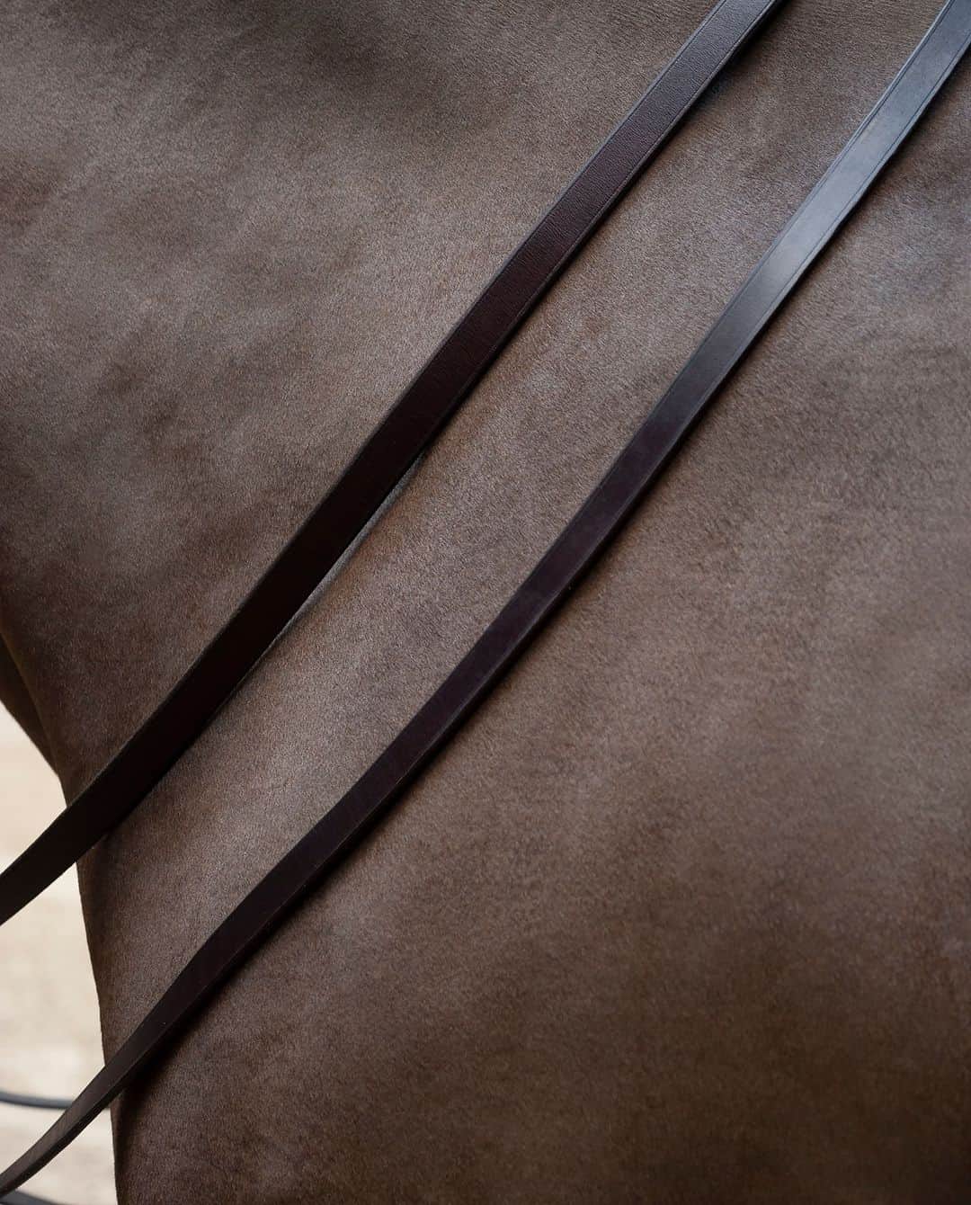 Longchampのインスタグラム：「A glimpse at our Fall-Winter 2021 Collection, created as a tribute to Longchamp’s equestrian and quintessentially Parisian heritage. Rendez-vous on March 3rd at 11.30AM CET to discover the collection.  #Longchamp #LongchampFW21 #LongchampFashionShow #ParisFashionWeek」