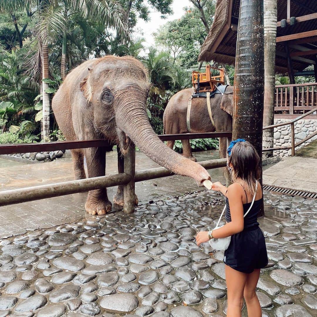 Jennifer Bachdimさんのインスタグラム写真 - (Jennifer BachdimInstagram)「Family Sunday ❤️🙏🏼  . . Fun fact : When I was 40 weeks pregnant with Kiyomi we went to the Zoo in Malang to naturally induce labor with Kiyomi and it worked !! So fingers crossed it works this time too ☺️🙏🏼 #40weekspregnant #sundayfunday #BabyBachdimOnTheWay #teamBachdim」2月28日 21時11分 - jenniferbachdim