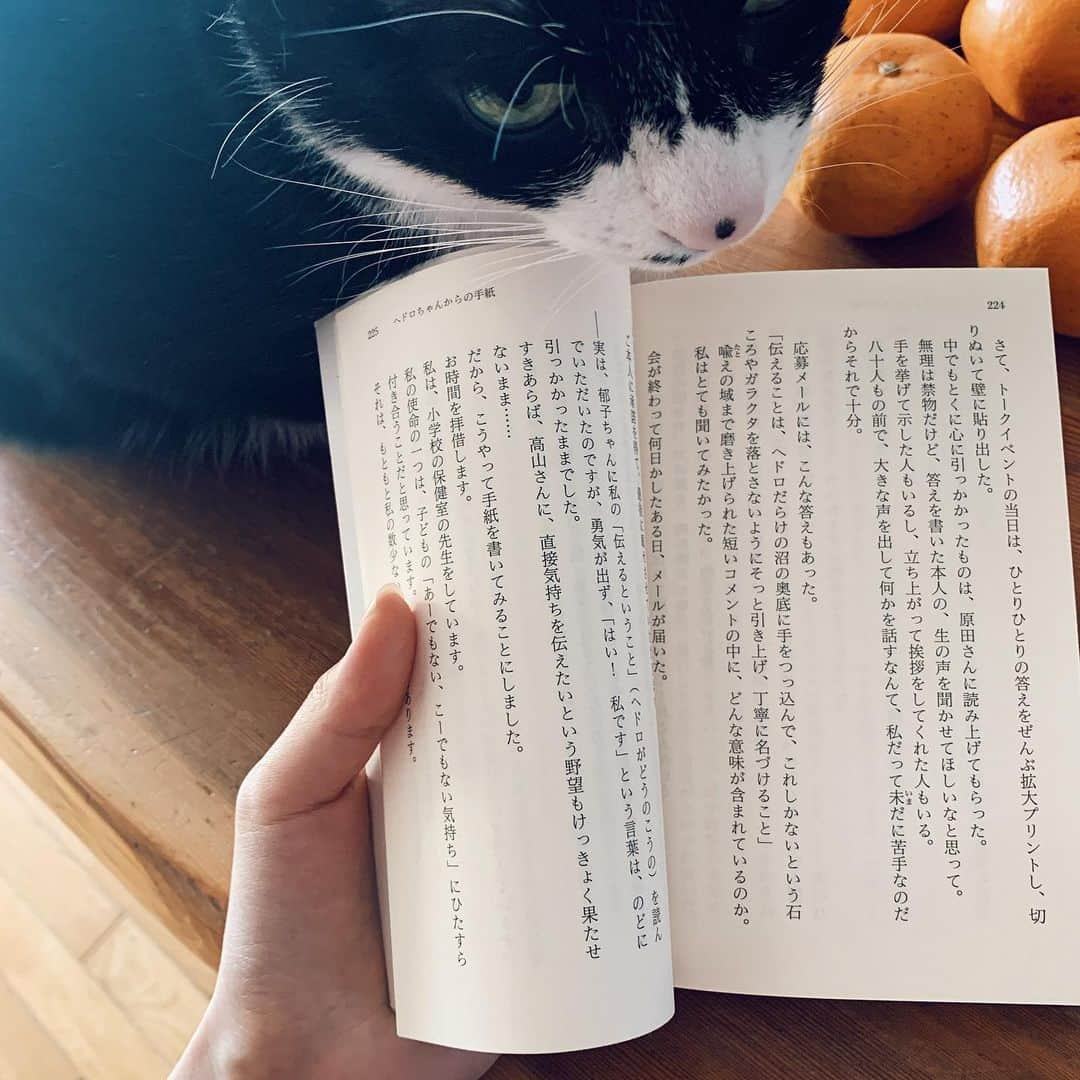 赤坂由梨さんのインスタグラム写真 - (赤坂由梨Instagram)「ㅤㅤㅤ  高山ふとんシネマ  今あったことはさっきになり、そのうち過去となって、忘れ去られる――。この世に確かなものなどあるんだろうか？そんな問いを繰り返しながら布団の中で映画を見、音楽を聴き、本を読んで、夢をみる。大好きな人の声を、忘れたくない風景を、何度も脳に刻み、体にしみこませる。人気料理家が五感をまるごと使って紡ぐ、心揺さぶる濃厚エッセイ。  ２月って あってないような月だけど(２月生まれの方すみません！) 今年の2月はなんだかんだバタバタしていた。急に暖かくなったと思ったら次の日にはまた寒くなって、寒暖差にぎゃあぎゃあ言っていたら、猫たちの身体にも応えていたようで実家の猫が兄妹2匹立て続けに亡くなりました。(共に16歳腎不全末期) お別れをしに実家に帰った時、実家での積読になっていたこちらをぼんやり手に取って。こんな気持ちのまま本なんて読めるのかなって思ったけど、とてもすらすらと読むことができて。火葬場でもそんなに泣かなかったのに、高山さんの文章を読んでいたら何かが爆ぜたように涙が止まらなくなって 久しぶりに自分の部屋で号泣しました。  人の心の奥底には、ビニール袋にくるまれたあるものがしまわれている。そのビニールを、針の先でチョンとつついたら、中から溶岩みたいな熱い液体がどろどろに溶け出してくる。 触ったら、火傷する。 近くにいた大事な人が、この世からいなくなるとき、誰しもが悲しみのあまりその袋をとり出して、針でついてしまう。 (p.104 触ったら、火傷する) ㅤㅤㅤ 高山さんが感じたままのことを素直に書き綴ってくれているので、こちらもそれを素直に感じて、素直にふふっと笑ったり、共感したり、時には涙してしまう。私の場合、心にぽっかり穴が空いていた状態だったから、よりダイレクトに伝わったのかな。あと、この本が出された頃は東日本大地震後だったこともあり、皆さんがこの本を手にする時には「ごはんをおいしく食べられるようになってますように」と締め括られていたのもちょっとホロリしました。まろくんとたんちゃんも、天国で美味しいご飯をいっぱい食べられていますように🌈ㅤㅤㅤ  #ヨシヒコとみかん #実家猫あと4匹います #２枚目のヘドロちゃんの章もすごく素敵 #読書 #読書記録 #文庫本 #高山ふとんシネマ #高山なおみ #yuri__book #エッセイ #映画 #レシピ」2月28日 21時22分 - __fuyuri