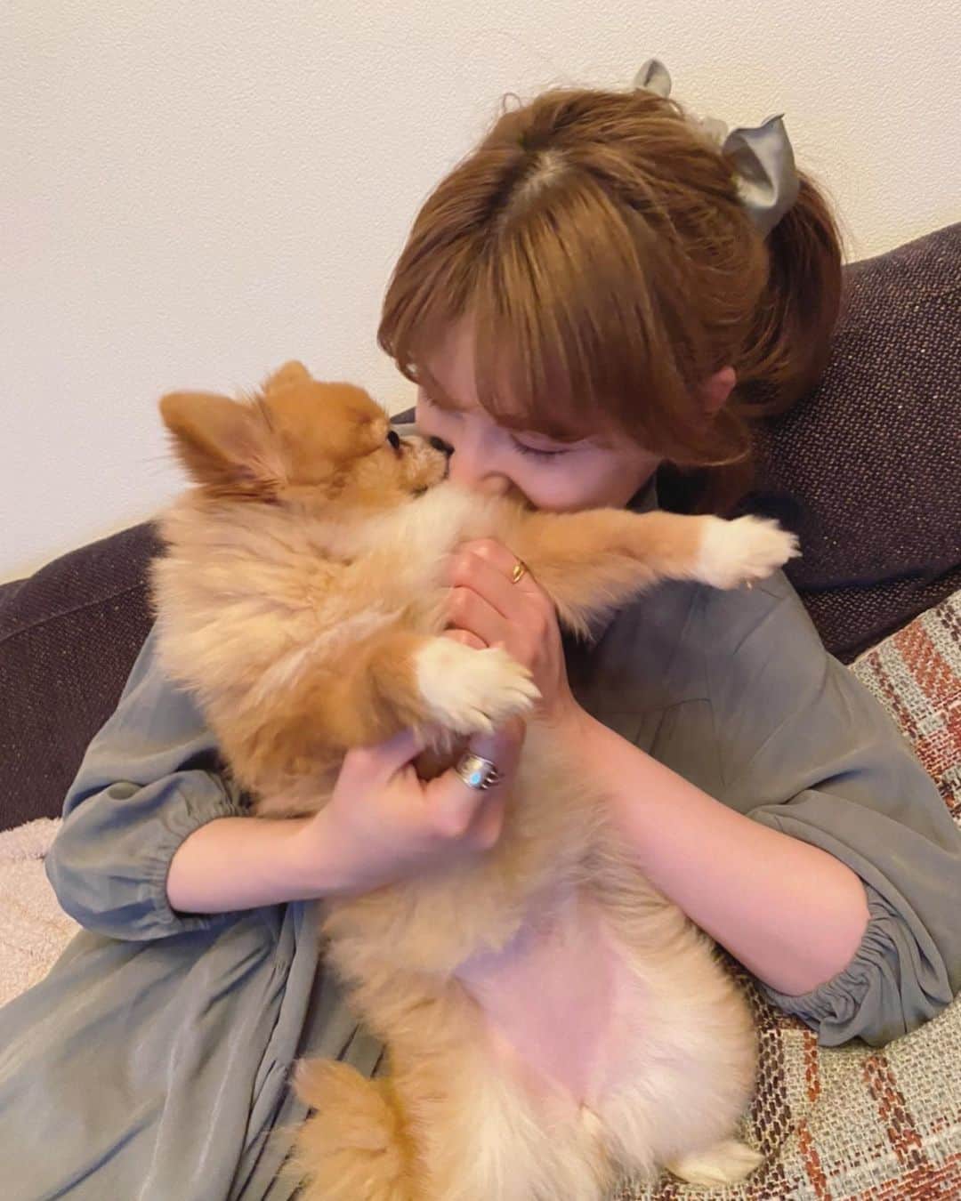 のインスタグラム：「だいすきなむぎ。 3月は君の誕生月だね。🐕」