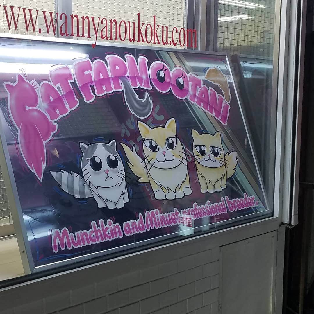 マンチカン(munchkin)キャットファーム大谷さんのインスタグラム写真 - (マンチカン(munchkin)キャットファーム大谷Instagram)「看板のプレゼント🎁を頂きました🤩🎶✨  @sstsutsu 様より製作して頂き店頭に飾らさせて頂いております🎗️💞  ハンドメイドで作って頂きとても可愛いイラストで仕上げて頂いて可愛いです💕😻  ありがとうございました🎶🐈  powered by @sstsutsu works  #キャットファーム大谷#まんちかん#マンチカン#ネコ#こねこ#にゃんこ#猫ちゃん#ねこ部#ニャンスタグラム#猫#ねこ#子猫#モフモフ#モフモフねこ#ミヌエット#短足#ねこすたぐらむ#愛猫#かわいい#ふわもこ部#猫のいる暮らし#マンチカンブリーダー#ミヌエットブリーダー#cat#catsgram #catsofinstagram#instacat#picneko」2月28日 21時30分 - roytar222