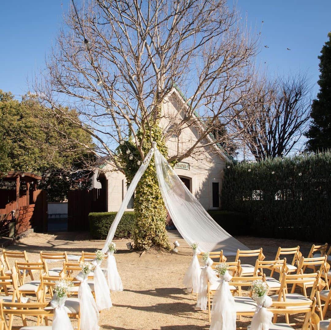 The Sally Garden（ザ サリィガーデン）のグルメインスタ