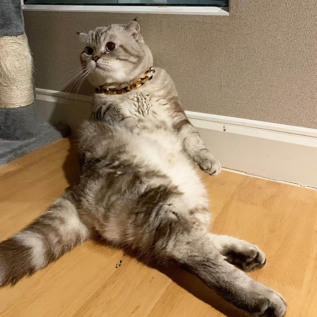 のインスタグラム：「ห๊ะ ใครเรียกวะ」