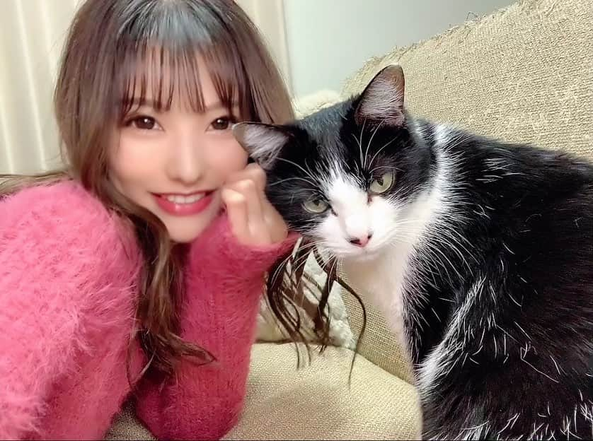 みはとのインスタグラム：「キメ顔いただきました🐈‍⬛  寝起きだったのでね ちょっといかついですけどね 怒ってないですよ😼キリッ  せっかくいっぱい写真撮ったから載せとこ〜❤️  #cat  #catstagram  #nyan  #nyanstagram  #ねこ　#猫　#ネコ #振り返りざまの  #キメ顔 #凛々しい  #愛おしい #思わず抱きついた #きゅんです」