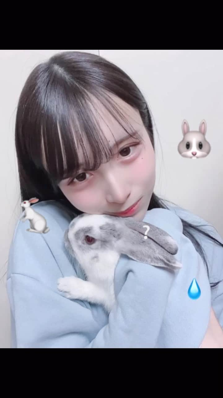 月野ちゃんのインスタグラム：「なかよし🐇☆💧愛 #うさぎのいる生活」