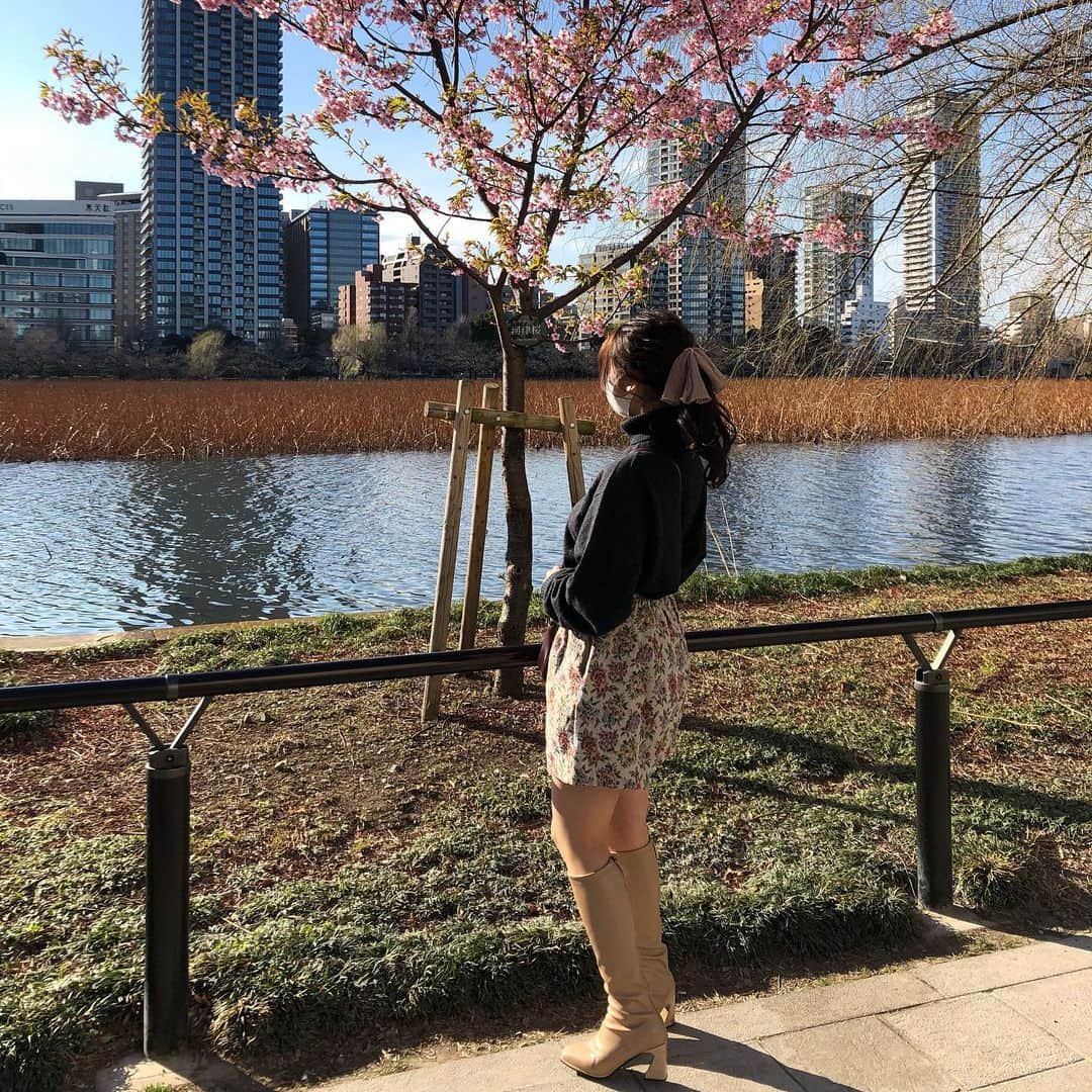 のインスタグラム：「.  この間歩いていたら梅のお花が咲いていました,,,♡  なんて可愛いの。❤︎  春を感じちゃった𓂃 👒🧺」