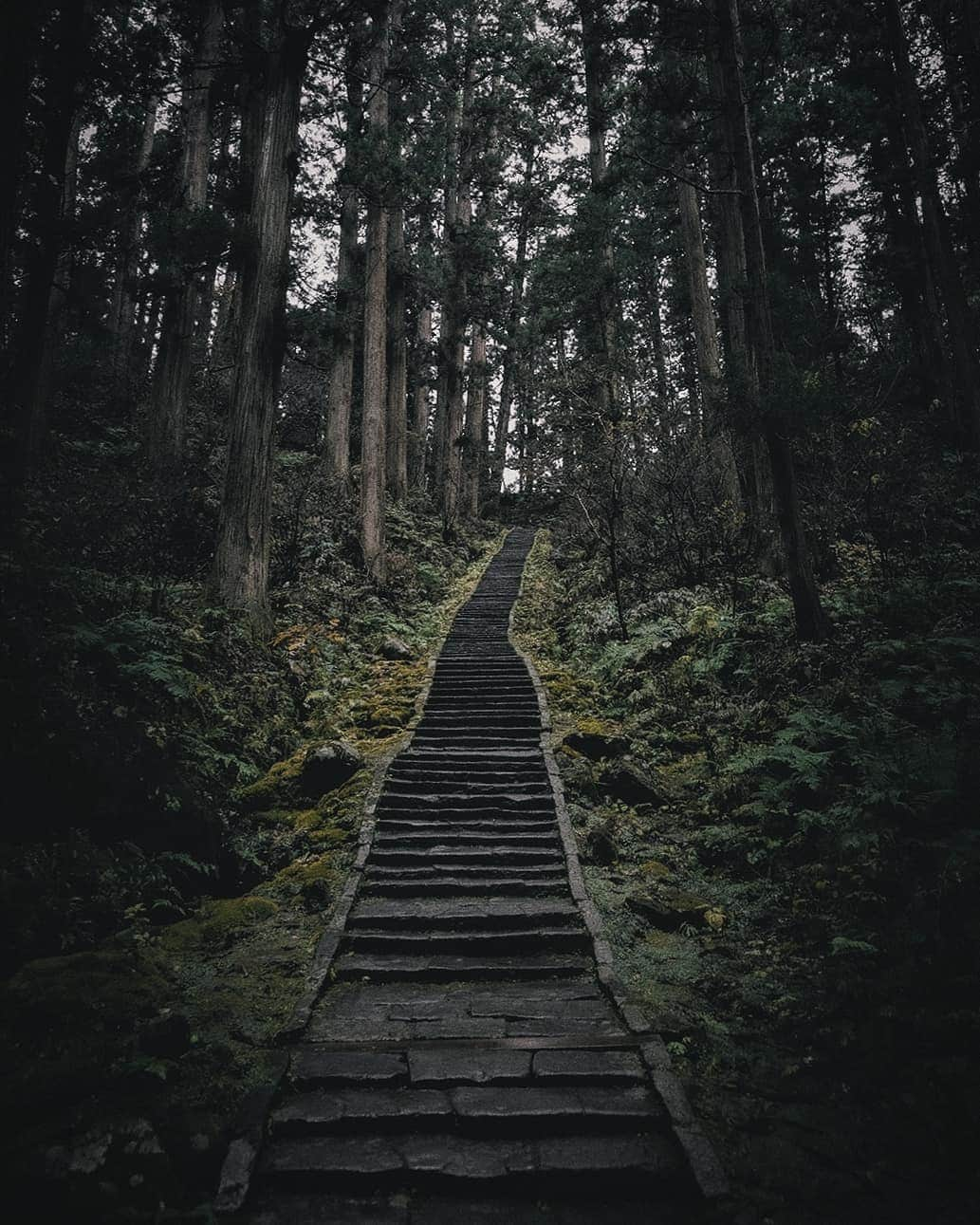 Berlin Tokyoのインスタグラム：「I walked down the long stone steps and through the mossy cedar forest to get to the five-story pagoda. There is a landscape that has not changed for centuries. . . Haguro, there is a shrine dedicated to the three gods of the three mountains, and this five-story pagoda stands in a grove of trees on the approach to the shrine. Nearby is a giant cedar, which is 1000 years old and has a circumference of 10 meters. . . . #hellofrom Haguro mountain, Yamagata, #japan」