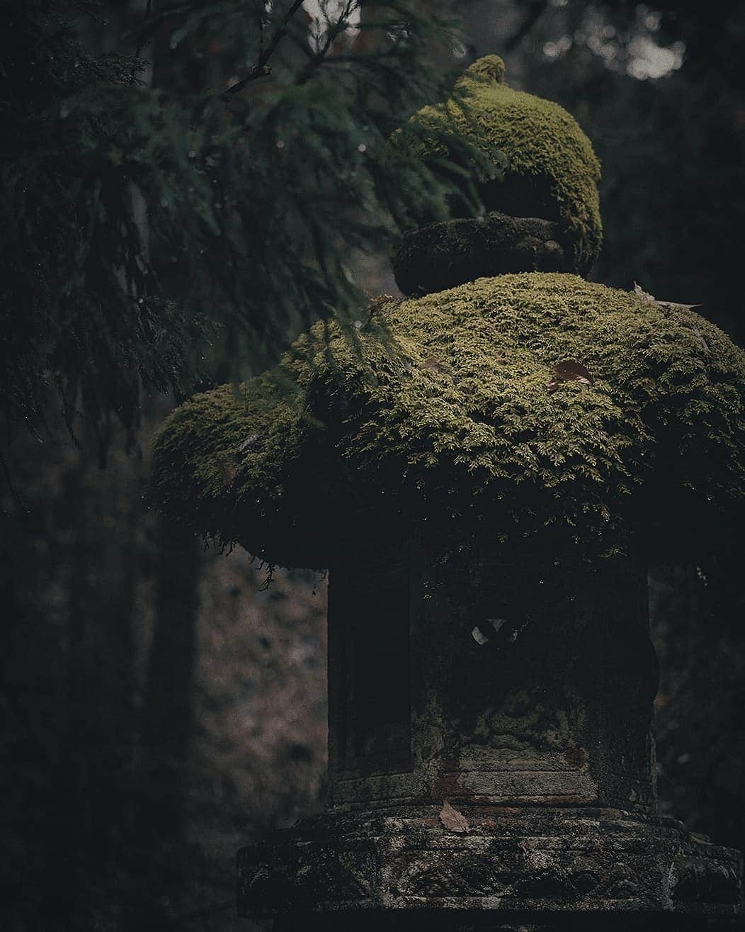 Berlin Tokyoさんのインスタグラム写真 - (Berlin TokyoInstagram)「I walked down the long stone steps and through the mossy cedar forest to get to the five-story pagoda. There is a landscape that has not changed for centuries. . . Haguro, there is a shrine dedicated to the three gods of the three mountains, and this five-story pagoda stands in a grove of trees on the approach to the shrine. Nearby is a giant cedar, which is 1000 years old and has a circumference of 10 meters. . . . #hellofrom Haguro mountain, Yamagata, #japan」2月28日 22時17分 - tokio_kid