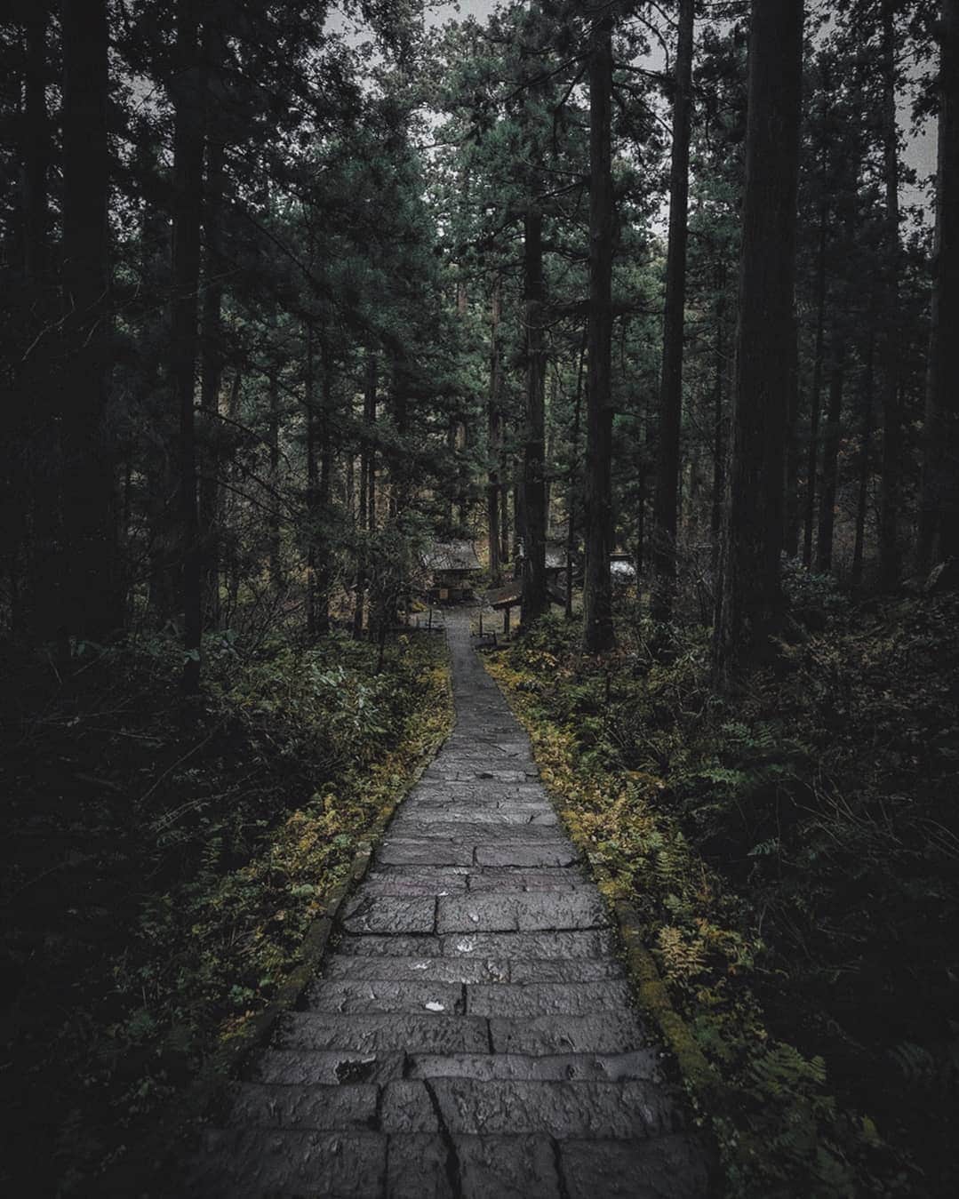 Berlin Tokyoさんのインスタグラム写真 - (Berlin TokyoInstagram)「I walked down the long stone steps and through the mossy cedar forest to get to the five-story pagoda. There is a landscape that has not changed for centuries. . . Haguro, there is a shrine dedicated to the three gods of the three mountains, and this five-story pagoda stands in a grove of trees on the approach to the shrine. Nearby is a giant cedar, which is 1000 years old and has a circumference of 10 meters. . . . #hellofrom Haguro mountain, Yamagata, #japan」2月28日 22時17分 - tokio_kid