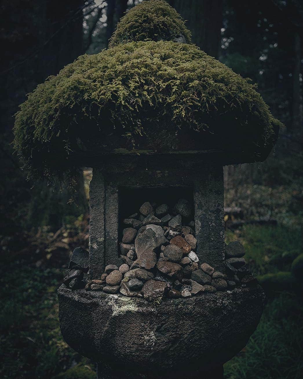 Berlin Tokyoさんのインスタグラム写真 - (Berlin TokyoInstagram)「I walked down the long stone steps and through the mossy cedar forest to get to the five-story pagoda. There is a landscape that has not changed for centuries. . . Haguro, there is a shrine dedicated to the three gods of the three mountains, and this five-story pagoda stands in a grove of trees on the approach to the shrine. Nearby is a giant cedar, which is 1000 years old and has a circumference of 10 meters. . . . #hellofrom Haguro mountain, Yamagata, #japan」2月28日 22時17分 - tokio_kid