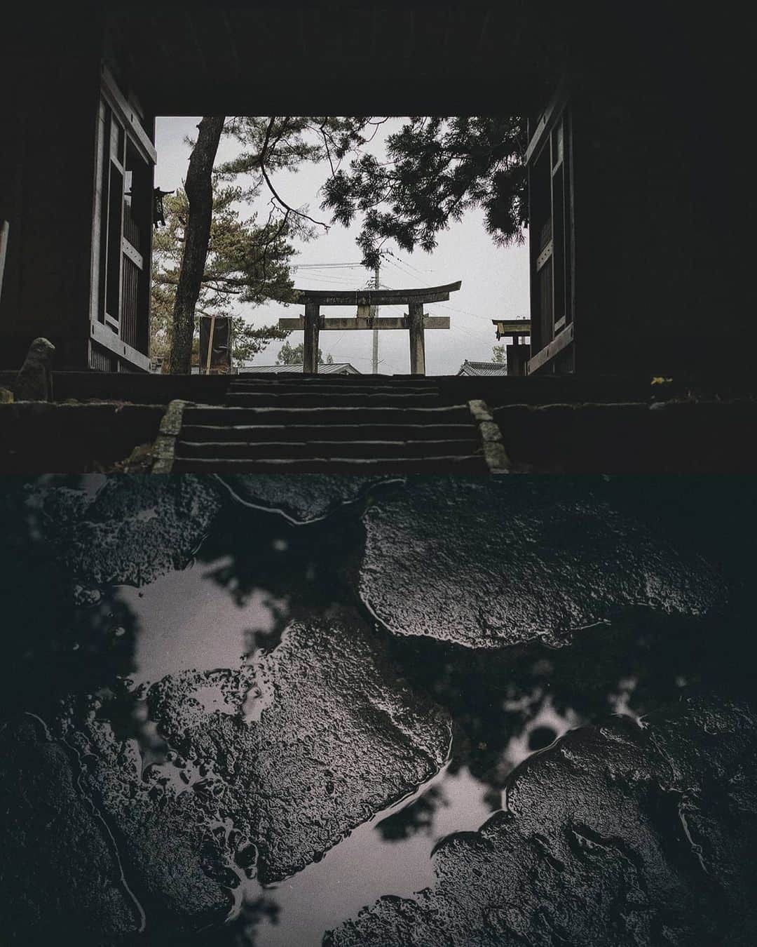 Berlin Tokyoさんのインスタグラム写真 - (Berlin TokyoInstagram)「I walked down the long stone steps and through the mossy cedar forest to get to the five-story pagoda. There is a landscape that has not changed for centuries. . . Haguro, there is a shrine dedicated to the three gods of the three mountains, and this five-story pagoda stands in a grove of trees on the approach to the shrine. Nearby is a giant cedar, which is 1000 years old and has a circumference of 10 meters. . . . #hellofrom Haguro mountain, Yamagata, #japan」2月28日 22時17分 - tokio_kid