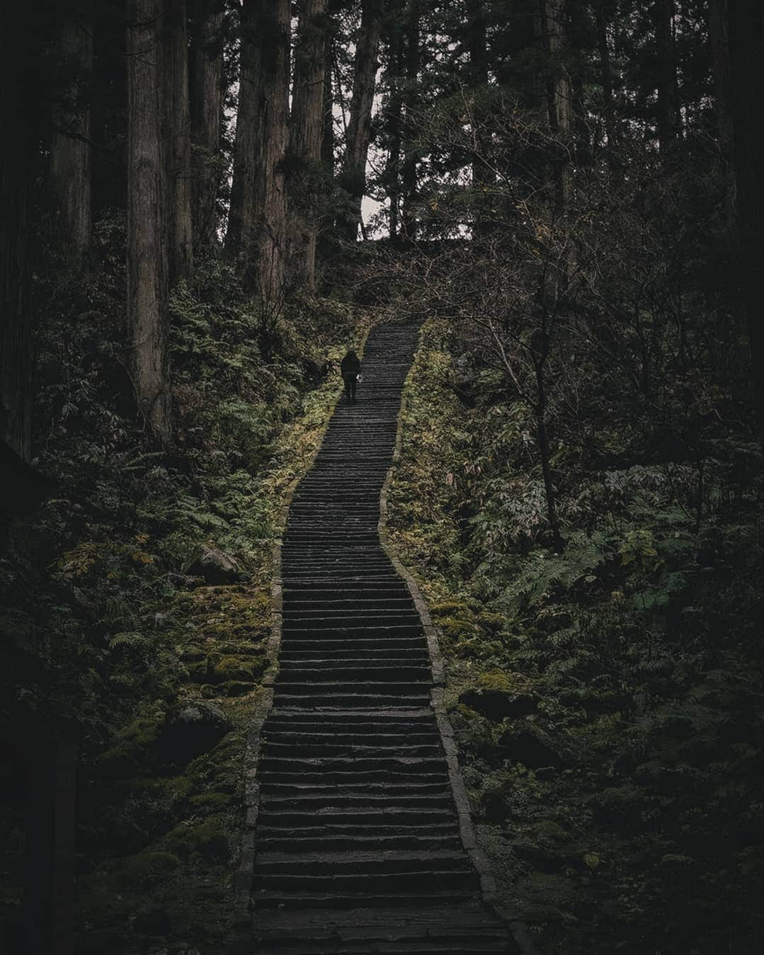 Berlin Tokyoさんのインスタグラム写真 - (Berlin TokyoInstagram)「I walked down the long stone steps and through the mossy cedar forest to get to the five-story pagoda. There is a landscape that has not changed for centuries. . . Haguro, there is a shrine dedicated to the three gods of the three mountains, and this five-story pagoda stands in a grove of trees on the approach to the shrine. Nearby is a giant cedar, which is 1000 years old and has a circumference of 10 meters. . . . #hellofrom Haguro mountain, Yamagata, #japan」2月28日 22時17分 - tokio_kid