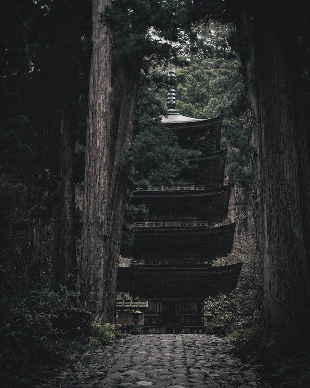 Berlin Tokyoさんのインスタグラム写真 - (Berlin TokyoInstagram)「I walked down the long stone steps and through the mossy cedar forest to get to the five-story pagoda. There is a landscape that has not changed for centuries. . . Haguro, there is a shrine dedicated to the three gods of the three mountains, and this five-story pagoda stands in a grove of trees on the approach to the shrine. Nearby is a giant cedar, which is 1000 years old and has a circumference of 10 meters. . . . #hellofrom Haguro mountain, Yamagata, #japan」2月28日 22時17分 - tokio_kid