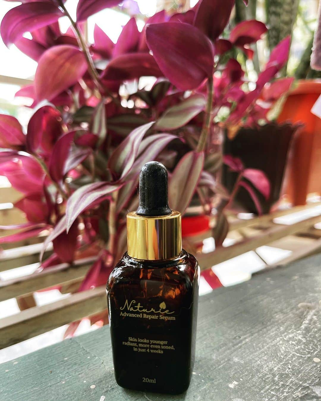 ナチュリエのインスタグラム：「Naturie Advanced Repair Serum is infused with Neroli EO. Women have been using this delicate ingredient as an at-home facial and brightening agent for centuries. Neroli, for your information, is one of the rarest and hard to get EO as it takes longer time to produce and is labour consuming. . Do you know that 1 ton of the plant can only produce 1 kilogram of Neroli Essential Oil? , Hence it is expensive.  . This serum works well to hydrate, revive and purify your skin from inside out. It helps your skin to revive properties and accelerate your complexion to become radiant. It stimulates cell regeneration, to heal the skin. . This serum is available at www.naturie.com.my.」