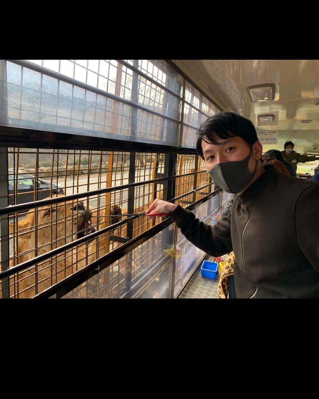 瀬崎一耀さんのインスタグラム写真 - (瀬崎一耀Instagram)「1週間のお休みを頂き、念願の富士サファリパークへ🥲 カンガルーにがっちりホールドされましたが、こんなに動物との距離が近い動物園は中々ないのでたまりませんでした🤤 全部飼いたい！！  #富士サファリパーク #動物好きな人と繋がりたい  #カンガルー  #ライオン  #キリン  #シマウマ  #犬の館 #animals  #animalphotography  #animallovers  #zoo  #zoophotography  #kangol  #zeebra  #dog  #dogstagram  #doglover  #lion」2月28日 22時23分 - ikko_sesaki