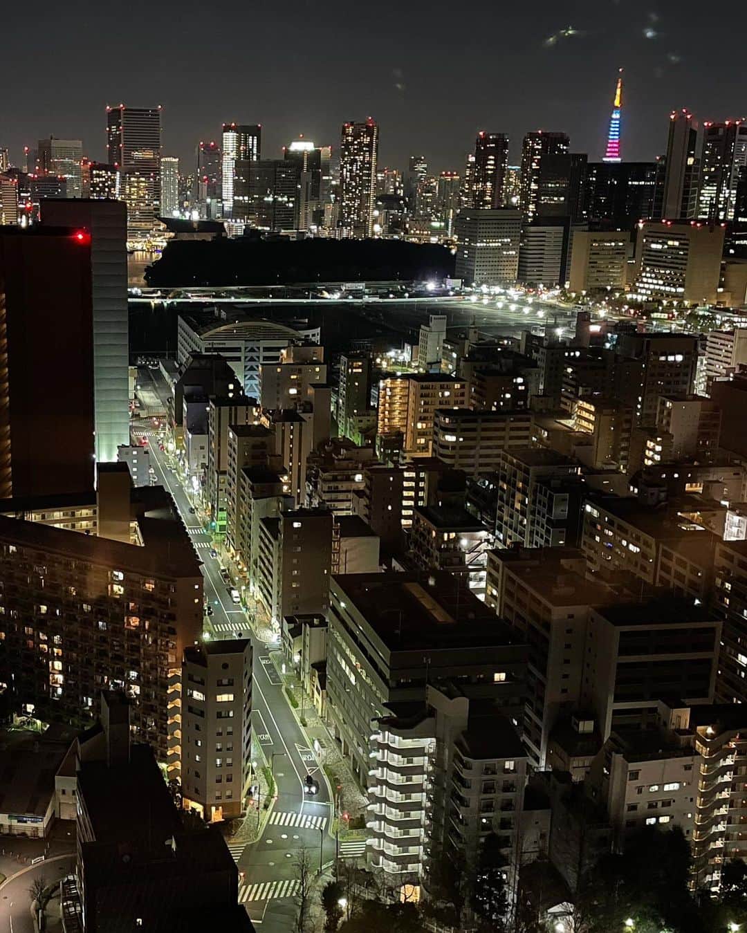 木下ココさんのインスタグラム写真 - (木下ココInstagram)「東京のこっち側 上と下から楽しんだ🌝🌃 ・ ・ ・ #犬の散歩 #川沿い散歩  #隅田川 #riverside #夜景　#tokyonightview」2月28日 22時27分 - cocot_chan
