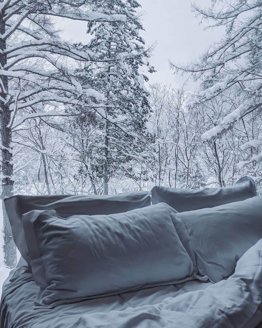 福田洋昭さんのインスタグラム写真 - (福田洋昭Instagram)「真っ白な雪に包まれた山での素敵な時間。今年は特に日本の雪景色を満喫できました 🌨️  Such an amazing season to get away deep into the mountains of Japan 🗾🏔️  #GooglePixel #Pixelで撮影 #TeamPixel」2月28日 22時37分 - hirozzzz