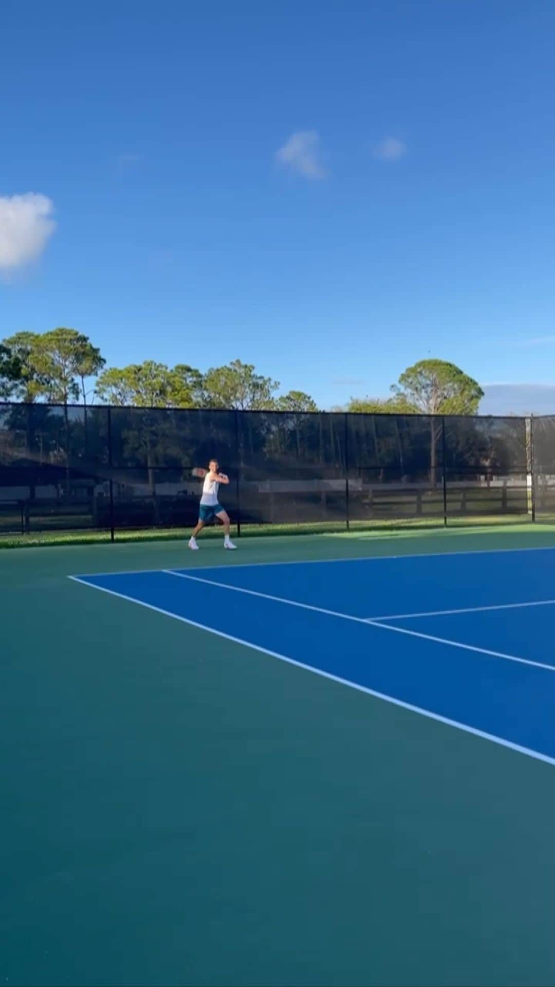 セリーナ・ウィリアムズのインスタグラム：「Just a casual hit  @grigordimitrov」