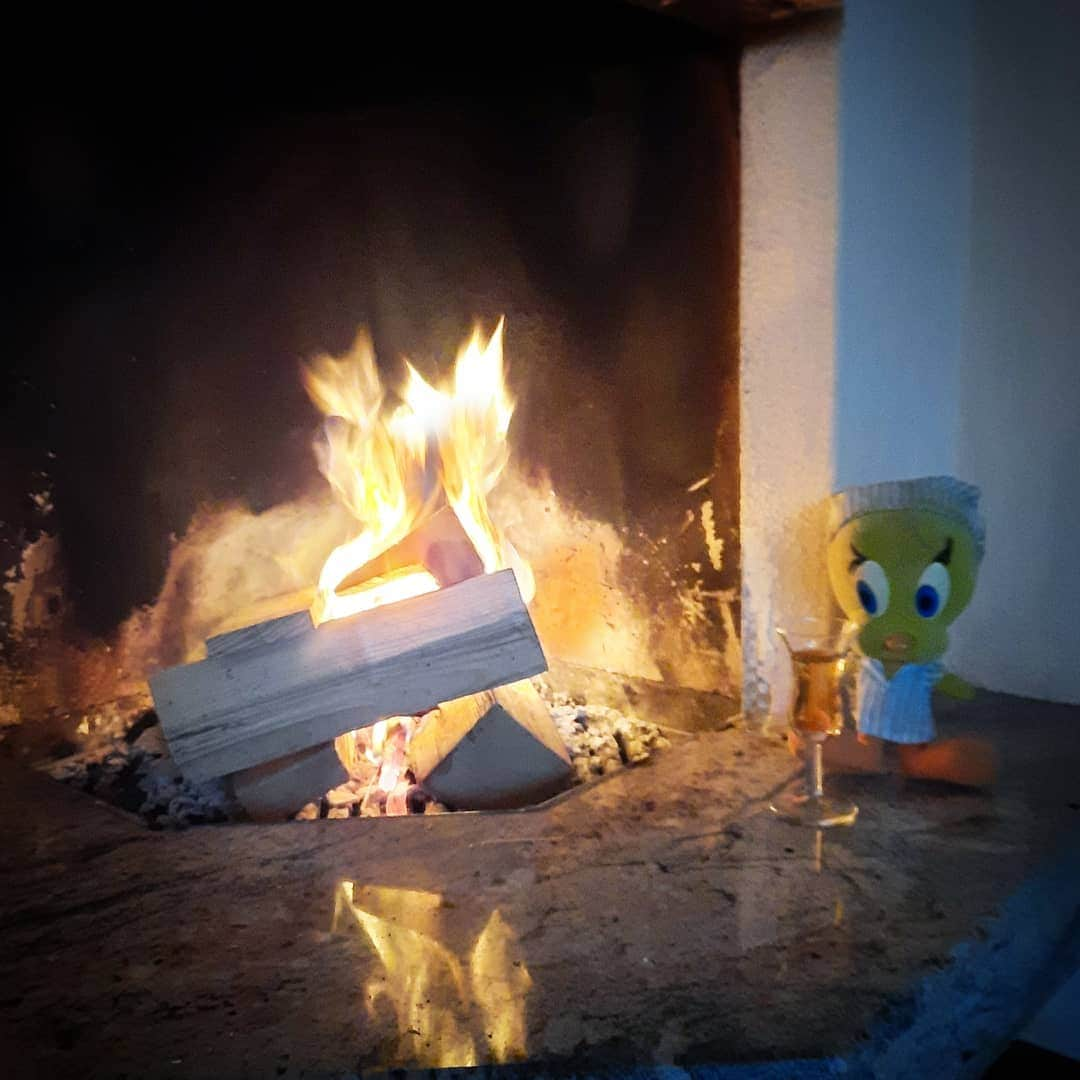 Little Yellow Birdさんのインスタグラム写真 - (Little Yellow BirdInstagram)「The right way to end a weekend! #littleyellowbird #tweety #tweetykweelapis #adventures #yellow #bird #weekend #sunday #sundayevening #happyhour #jenever #fireplace #woodfire #openhaard #february #coldweather #cosy #warm #stuffedanimalsofinstagram #plushiesofinstagram」2月28日 23時09分 - tweetykweelapis