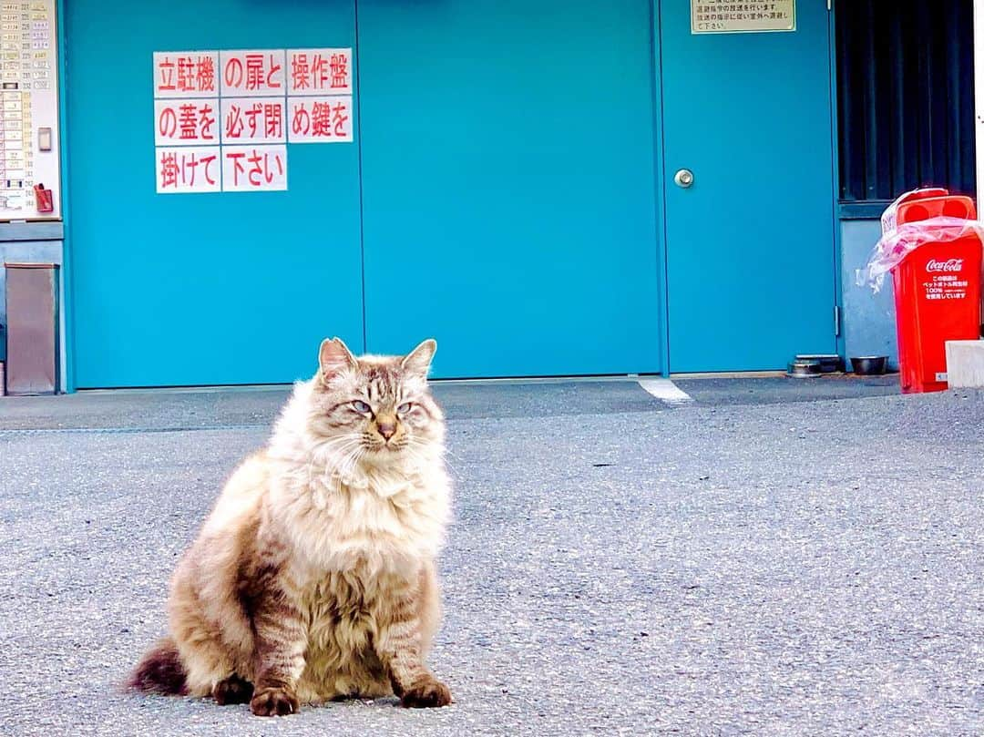 越野翔子のインスタグラム