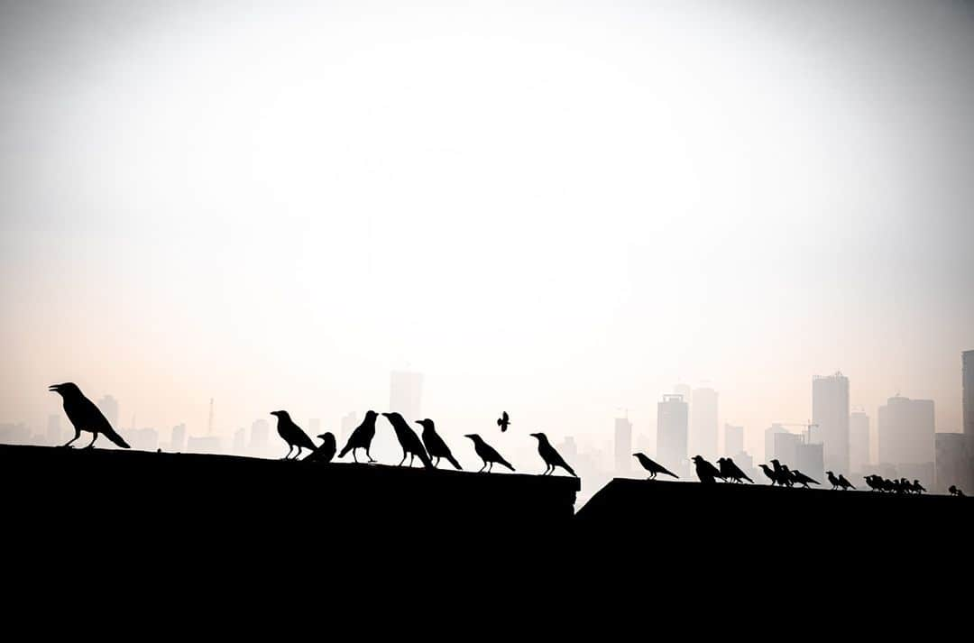 ライカさんのインスタグラム写真 - (ライカInstagram)「LFI Gallery - Editors' Pick 'Fishing Village in the City' by Ulka Chauhan (@ulkachauhan)  A moment of serendipity in the wake of dawn, overseeing the 800-year-old fishing village, flanked by Mumbai's towering skyscrapers.  Gear: #LeicaM10R and Summicron-M 28mm f/2  #LeicaFotografieInternational #LeicaCamera #Leica #🔴📷」3月1日 0時00分 - leica_camera