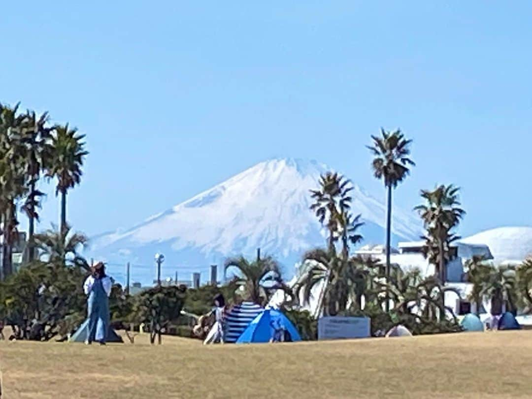 小桜舞子さんのインスタグラム写真 - (小桜舞子Instagram)「🌴🗻ヤシの木と富士山… こんな景色が観られるのも湘南ならでは。 (*´꒳`*)  #ウォーキング #湘南 #富士山 #ヤシの木 #小桜舞子」3月1日 9時51分 - kozakura_maiko