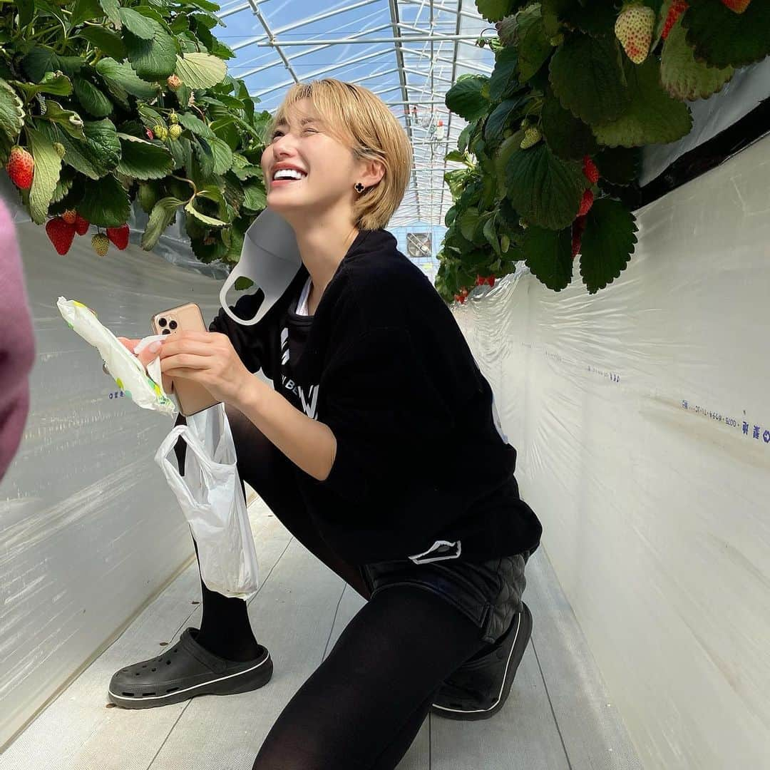 &mさんのインスタグラム写真 - (&mInstagram)「娘は🍓が大好きすぎて、鼻息荒い必死な顔しかカメラ📸におさめられず😂💦 まあ、嬉しそうでなにより☺️  #シングルマザー #シングルママ  #女の子ママ」3月1日 10時34分 - oc.ym