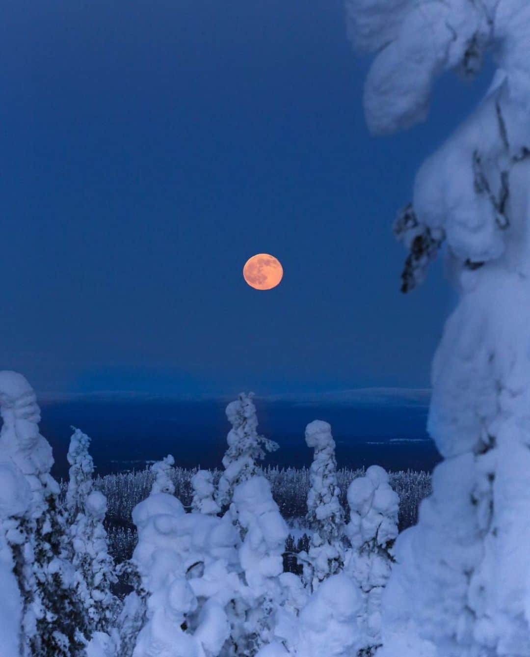 フィンランド政府観光局さんのインスタグラム写真 - (フィンランド政府観光局Instagram)「月の出。🌕 ． @hennamarr さんの写真。Kiitos！」3月1日 3時37分 - visitfinlandjapan