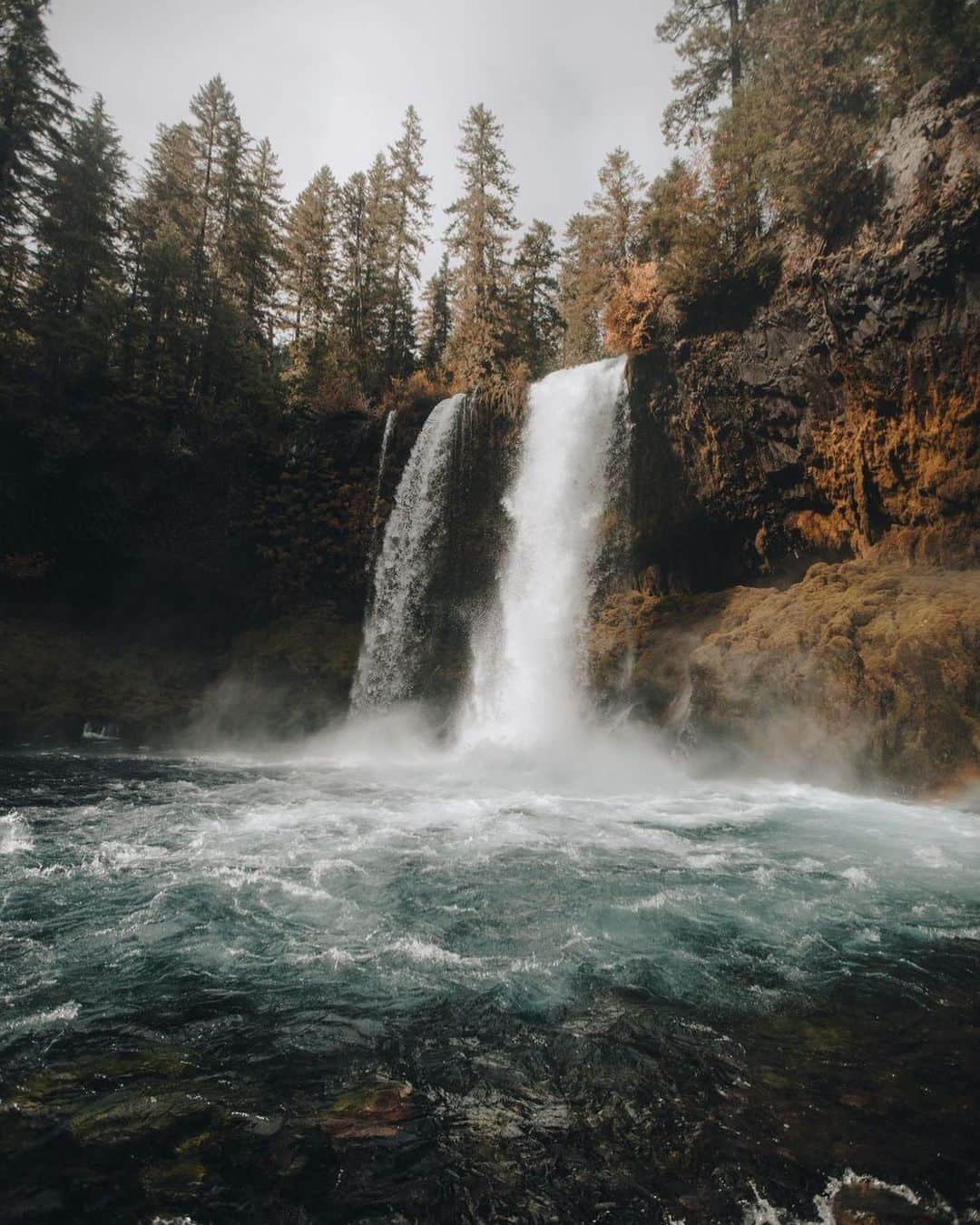 FOLKのインスタグラム：「This week is the final week to pre-order FOLK’s spring issue. After a very long winter inside we are headed out into the gardens, the fields, and the wilderness for this issue. A revival of the spirit, the soul, and the earth. If you’d like the issue check on the product in this image set. These are from our conversations with @jkwinders」