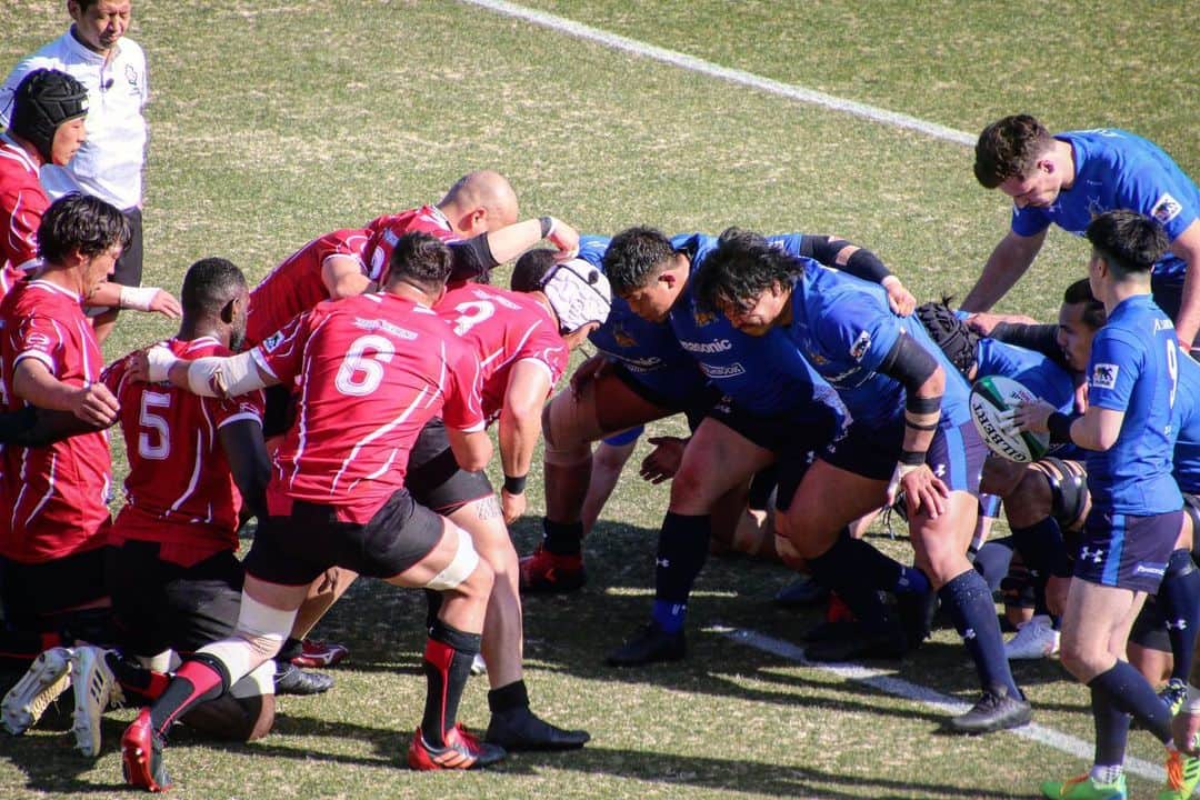 のインスタグラム：「vs HINO 60-12 win. 今日からまた準備を積み重ねていく。応援有難う御座いました。  @panasonic_wildknights_funclub」