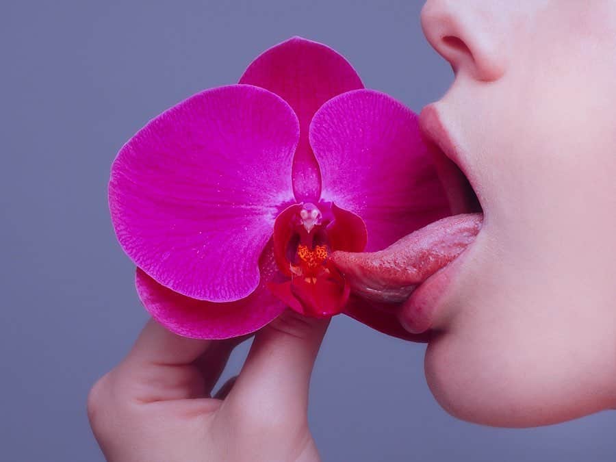 タイラー・シールズのインスタグラム：「Effort is free when you have already seen the results, fear costs time as no end will ever be in sight. You have to find value before their is worth. Orchid is currently on sale @sothebys and if you swipe right you can see a video on how I made this image. I have not posted this image in years so my question is have you seen this before?」