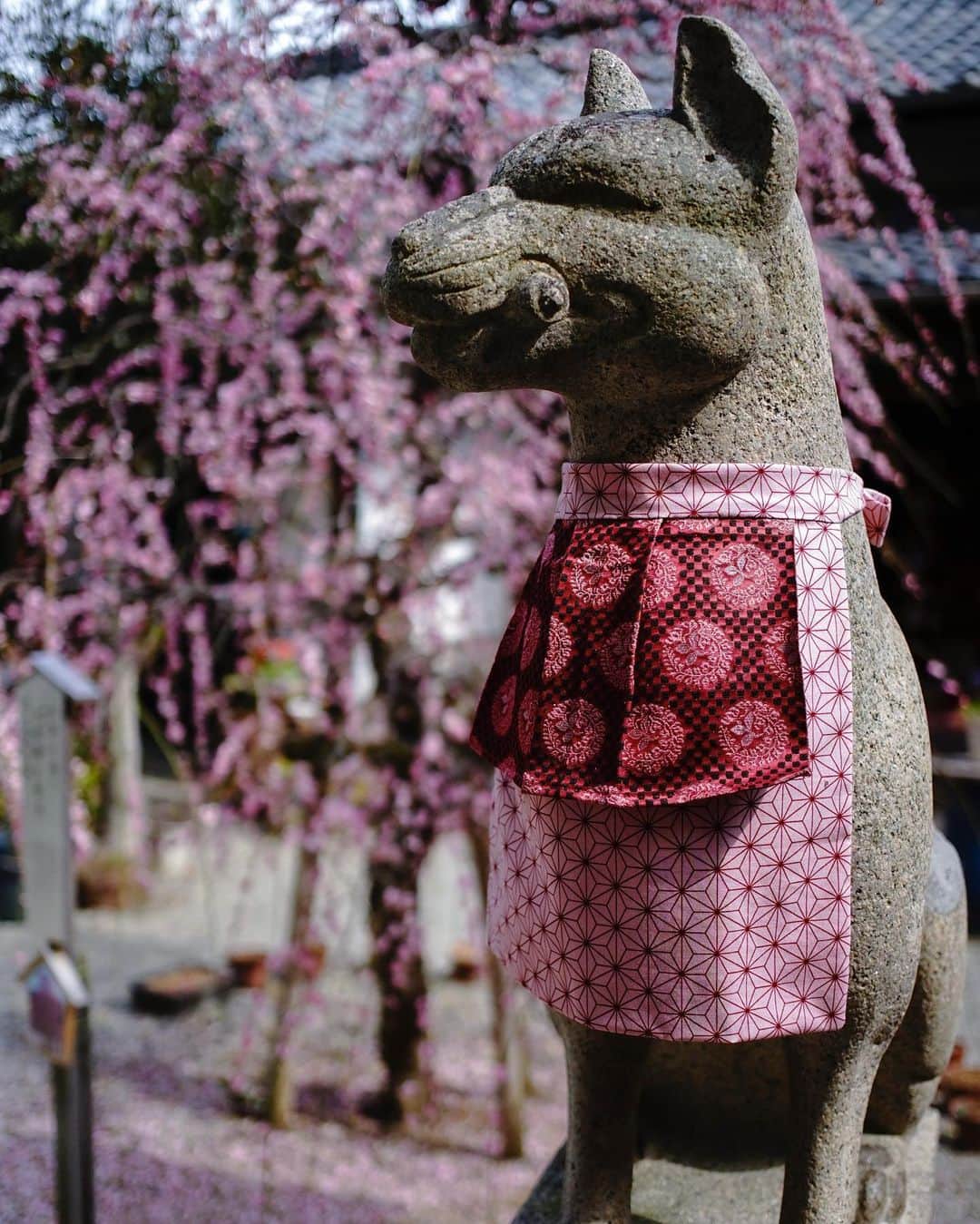 иαяα & куσтσ νιятυαℓ ωσяѕhιρのインスタグラム