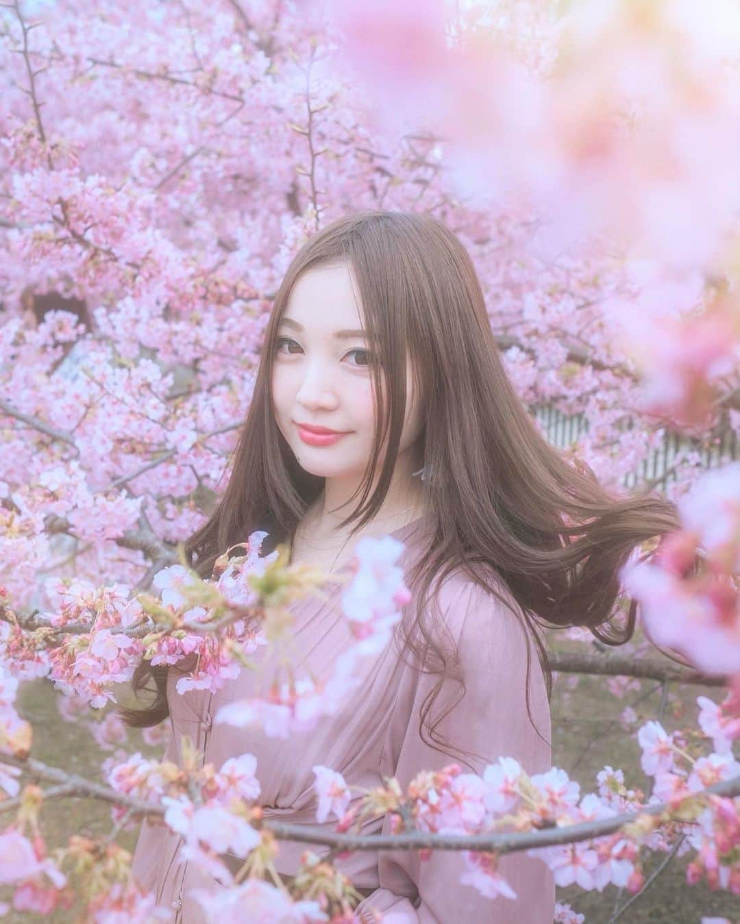 ももせゆきのインスタグラム：「・ ・ 🌸  桜のフレームの中に入れて嬉しい♥ 今週も頑張りましょう！  ・ photo @pny_pt   レタッチ @momoyu1125  ・  🌸  ・  #spring  #作品撮り  #team_jp_ #IG_PHOS#japan_daytime_view#ポートレート #被写体 #genic_mag#instagram#IGersJP #retrip_nippon #hubsplanet  #カメラ女子 #カメラ好きな人と繋がりたい #ファッション #ファインダー越しの私の世界 #サロンモデル#tokyocameraclub #awesome_earthpix  #タビジョ#art_of_japan_ #hellofrom #ビジョビ #whim_member #earth_portraits #はなまっぷ #japan_of_insta #写真撮ってる人と繋がりたい#gpw_members_only #桜」