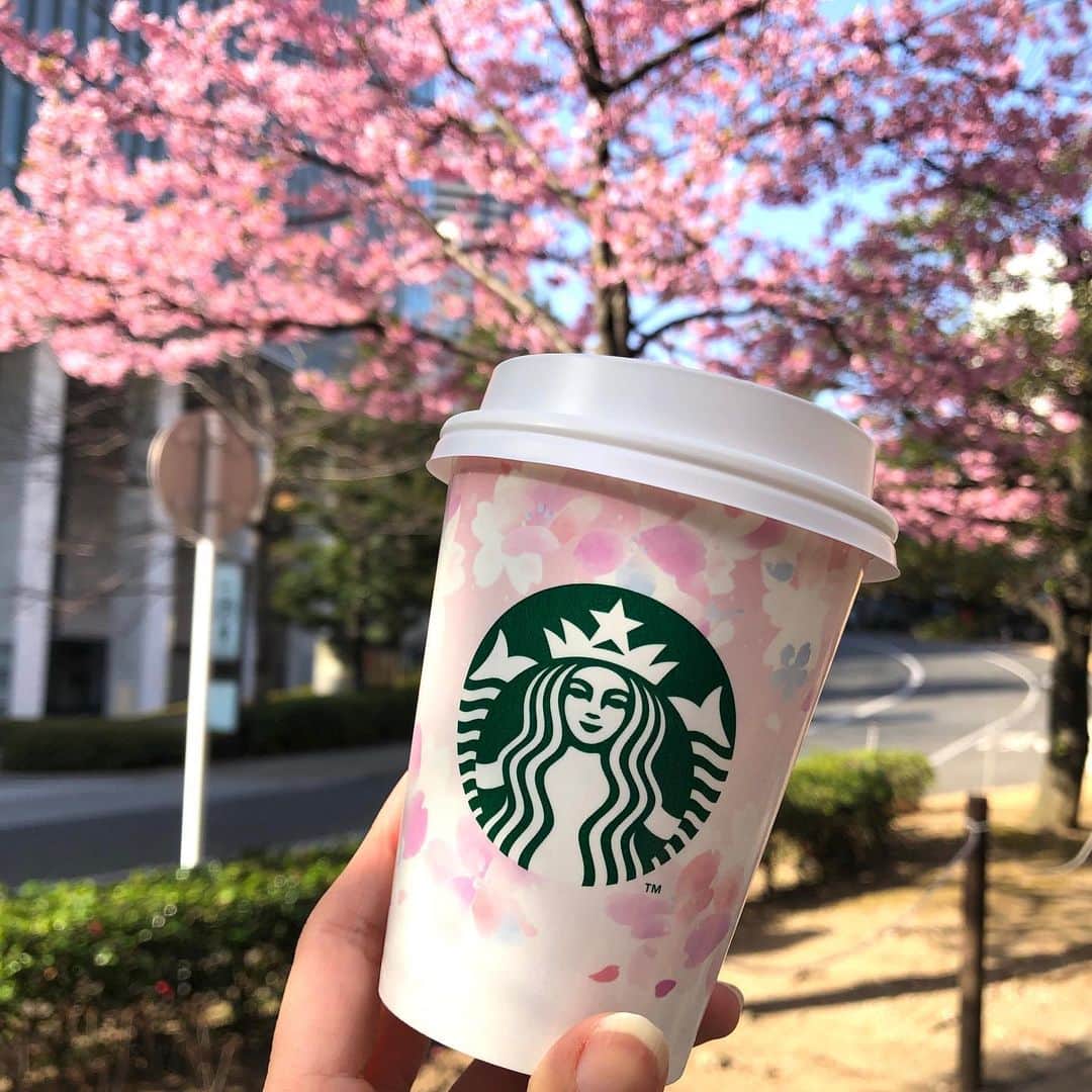 多胡安那のインスタグラム：「桜とさくら。 通勤ついでの朝花見。 #気象予報士 #桜シーズン #お花見 #朝花見 #スターバックスコーヒー #赤坂サカスの河津桜が見頃です」