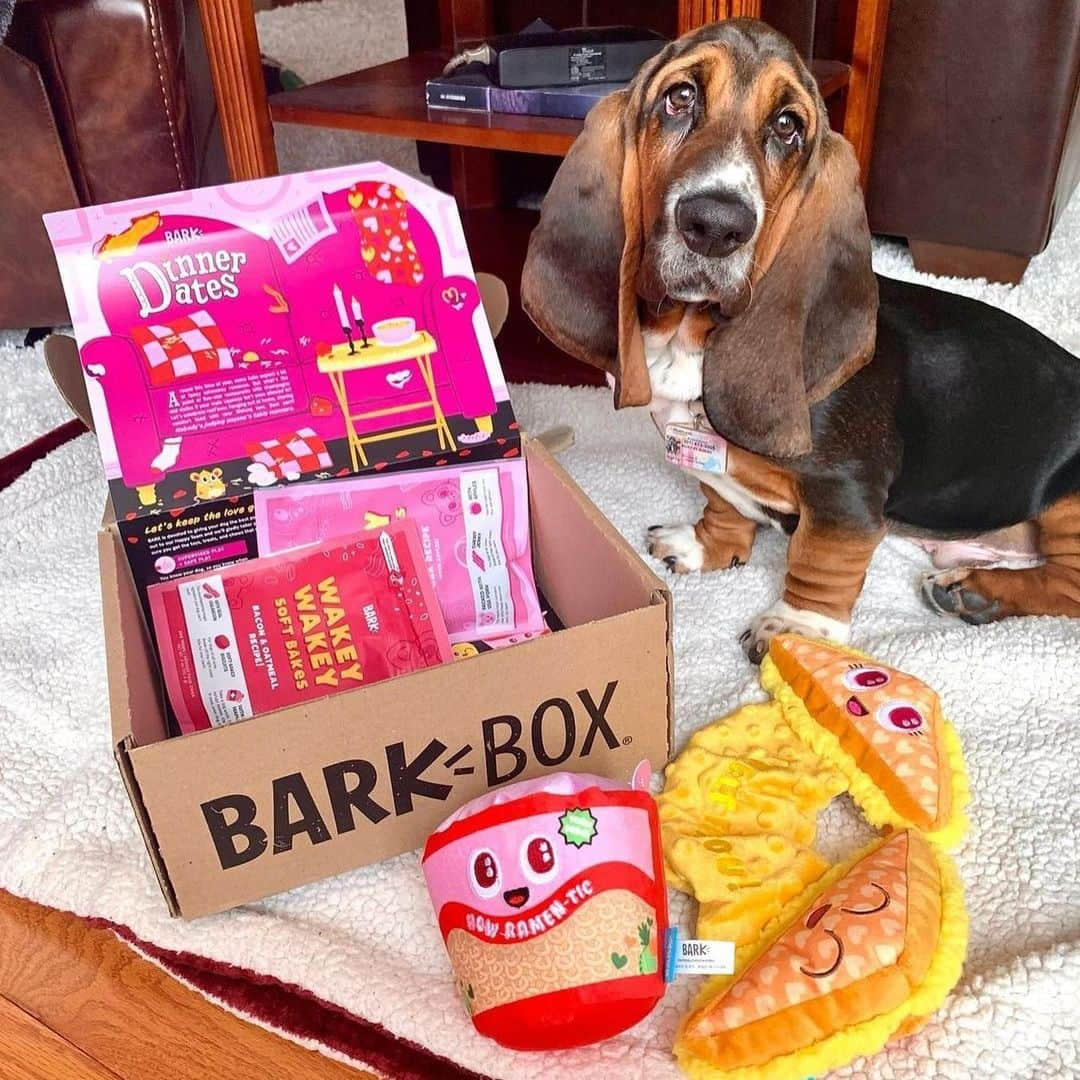 BarkBoxさんのインスタグラム写真 - (BarkBoxInstagram)「DINNER DATE PIC ROUND UP! From a purely selfish standpoint I LOVE when we have food toys! LOOKIT THESE ADORABLE BEANS! LOOK AT THAT CHEESE PULL!⁠⁠ ⁠⁠ FEATURING:⁠⁠ ⁠⁠ @ziggythebeagi  @chopper.biggie  @xoxo_benji_the_cavapoo  @murphsmuddypaws  @eeveepuptato  @the_blue_eyed_rottie  @neoindc  @frenchiebinx」3月1日 9時41分 - barkbox