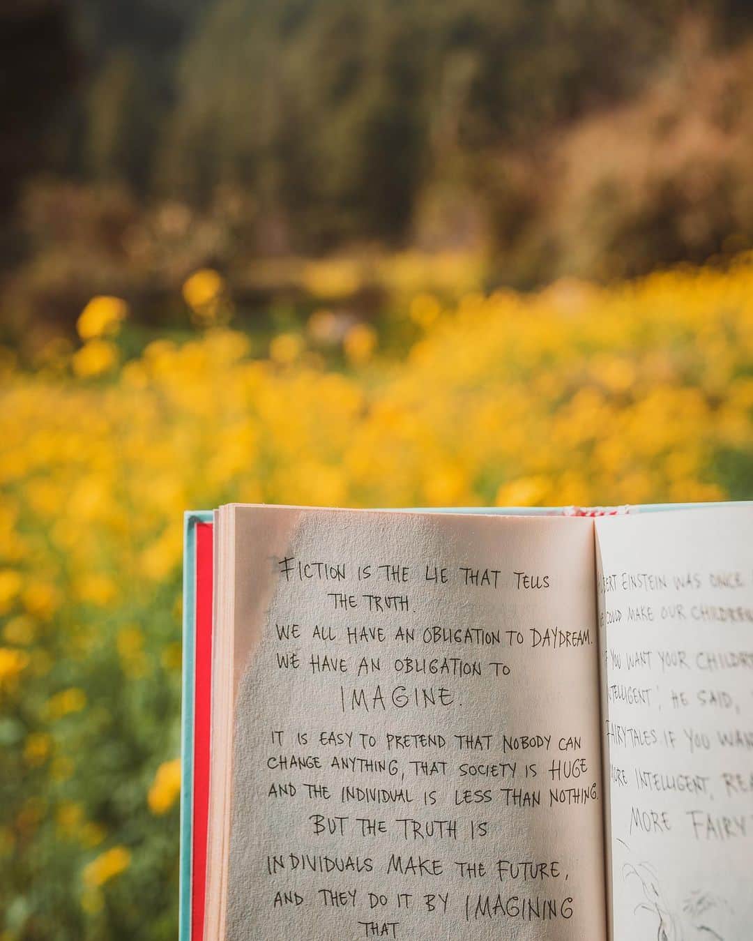 Abhinav Chandelさんのインスタグラム写真 - (Abhinav ChandelInstagram)「Swipe right for the next page. . And that’s all, that’s all I want to tell you today.   To all those who’re out there, fighting for a better future, a better society, a better tomorrow for themselves. . . . The words above are by @neilhimself」3月1日 20時34分 - abhiandnow