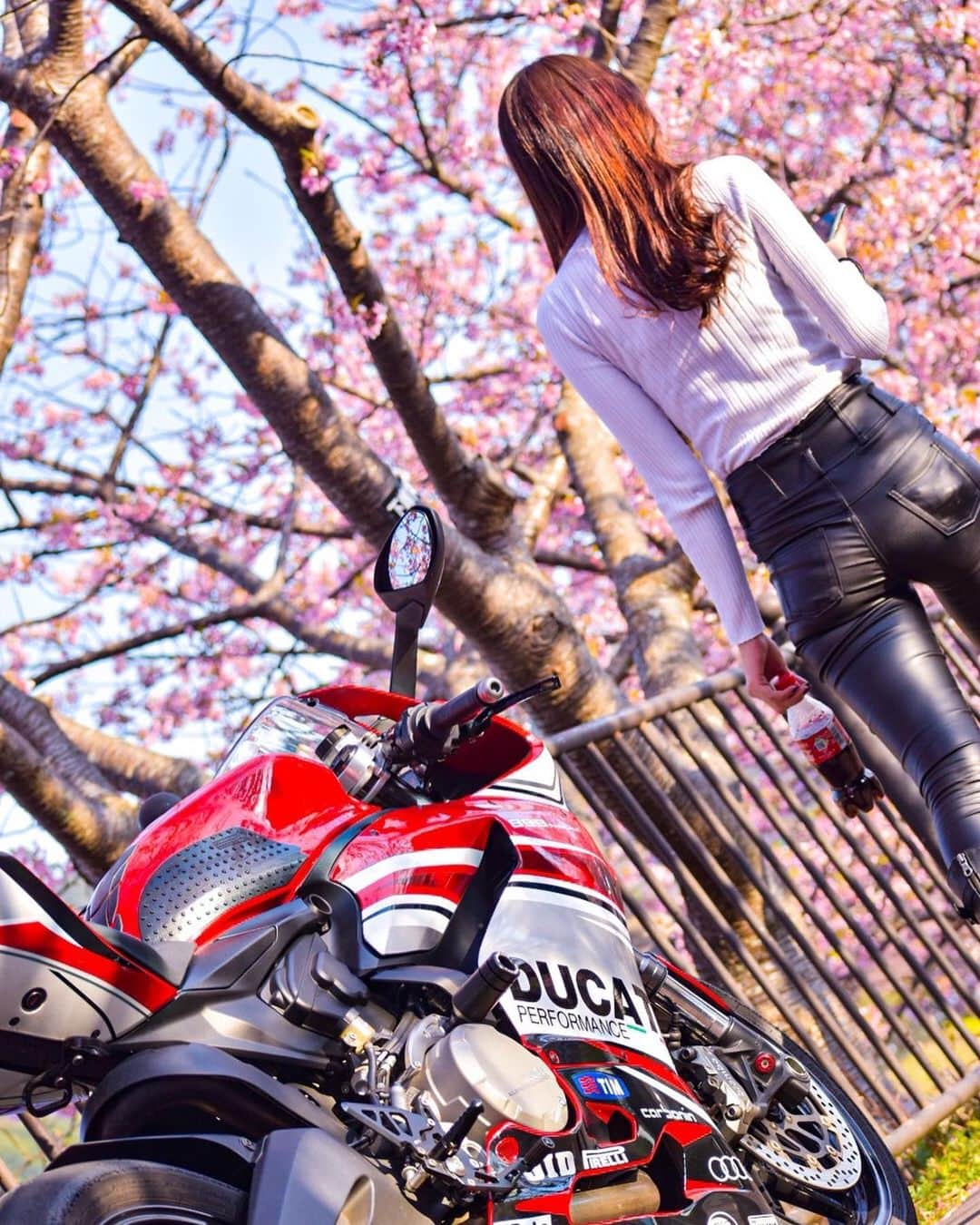 CAMIRAさんのインスタグラム写真 - (CAMIRAInstagram)「おちり🤣 #河津桜#伊豆#バイク女子#バイク好きな人と繋がりたい#バイク写真部#bikegirl#motorcycle#bikelife#bike#ducati#panigale#superbikes」3月1日 19時05分 - camila.528